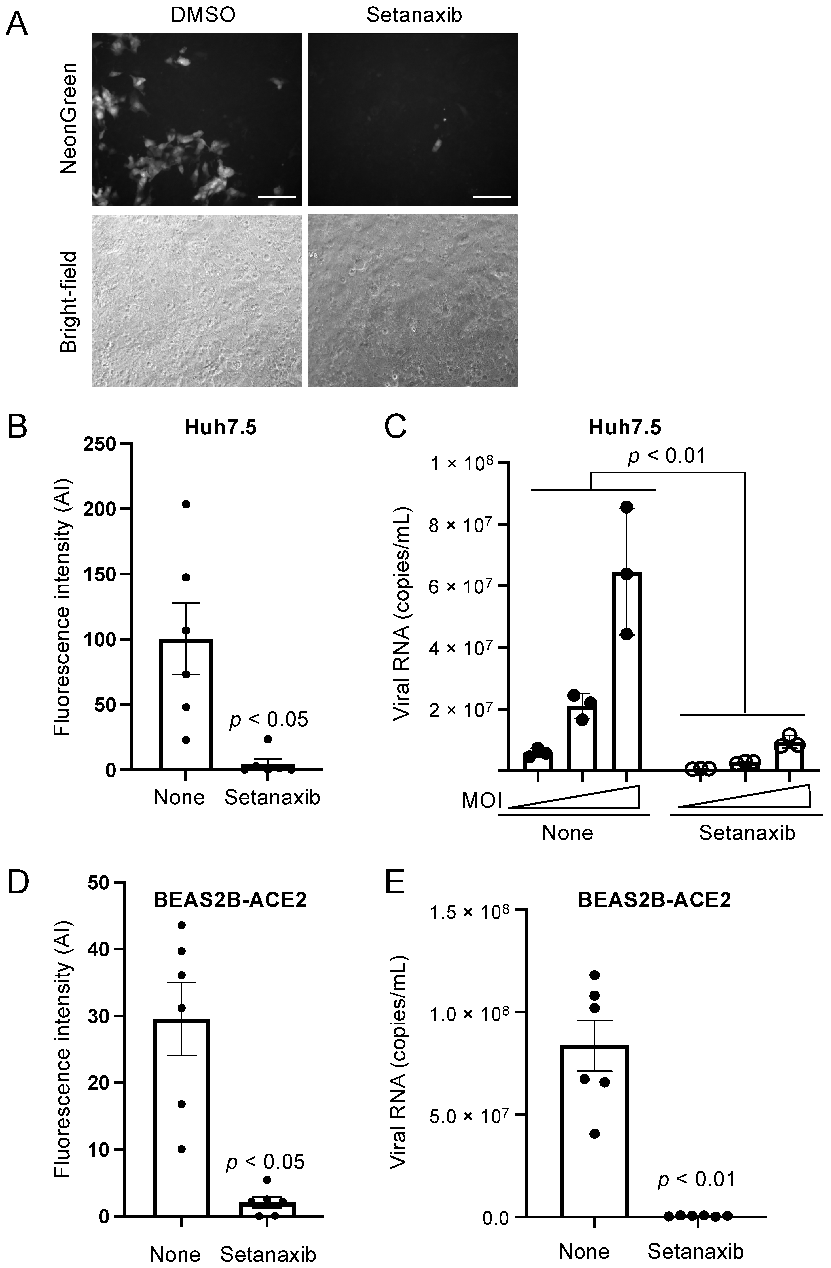 Viruses 13 01814 g005
