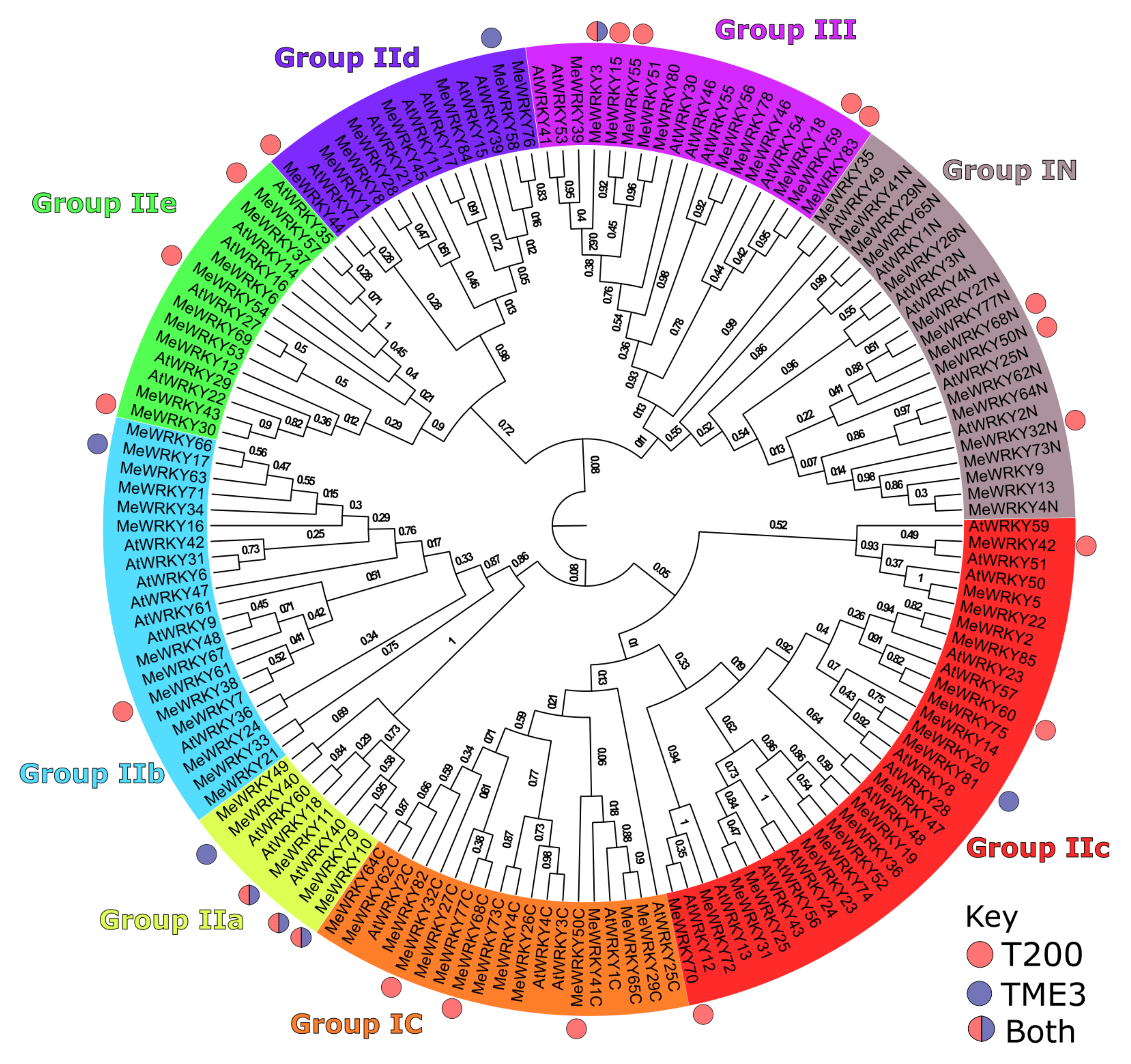 Viruses 13 01820 g005
