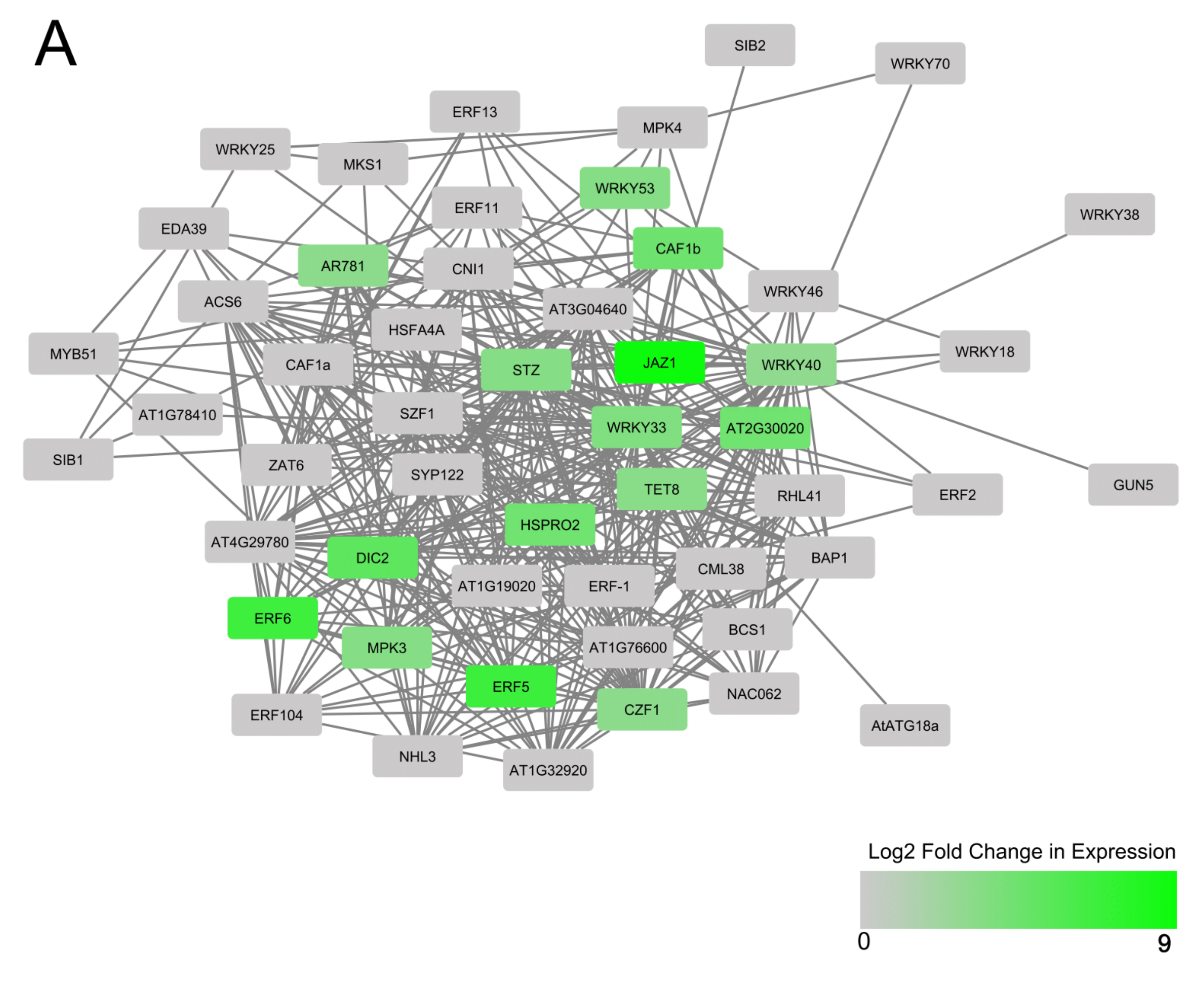 Viruses 13 01820 g006a