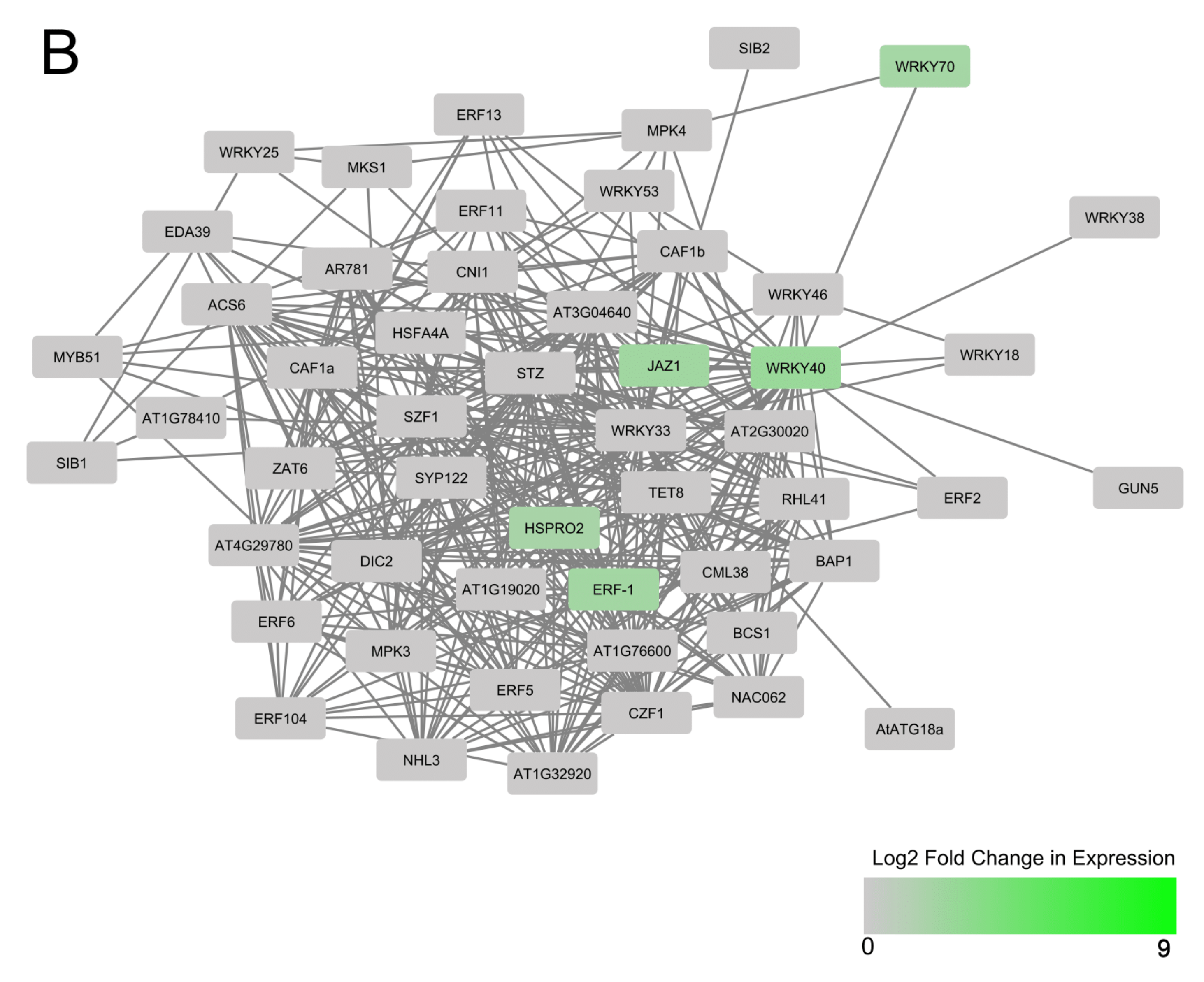 Viruses 13 01820 g006b