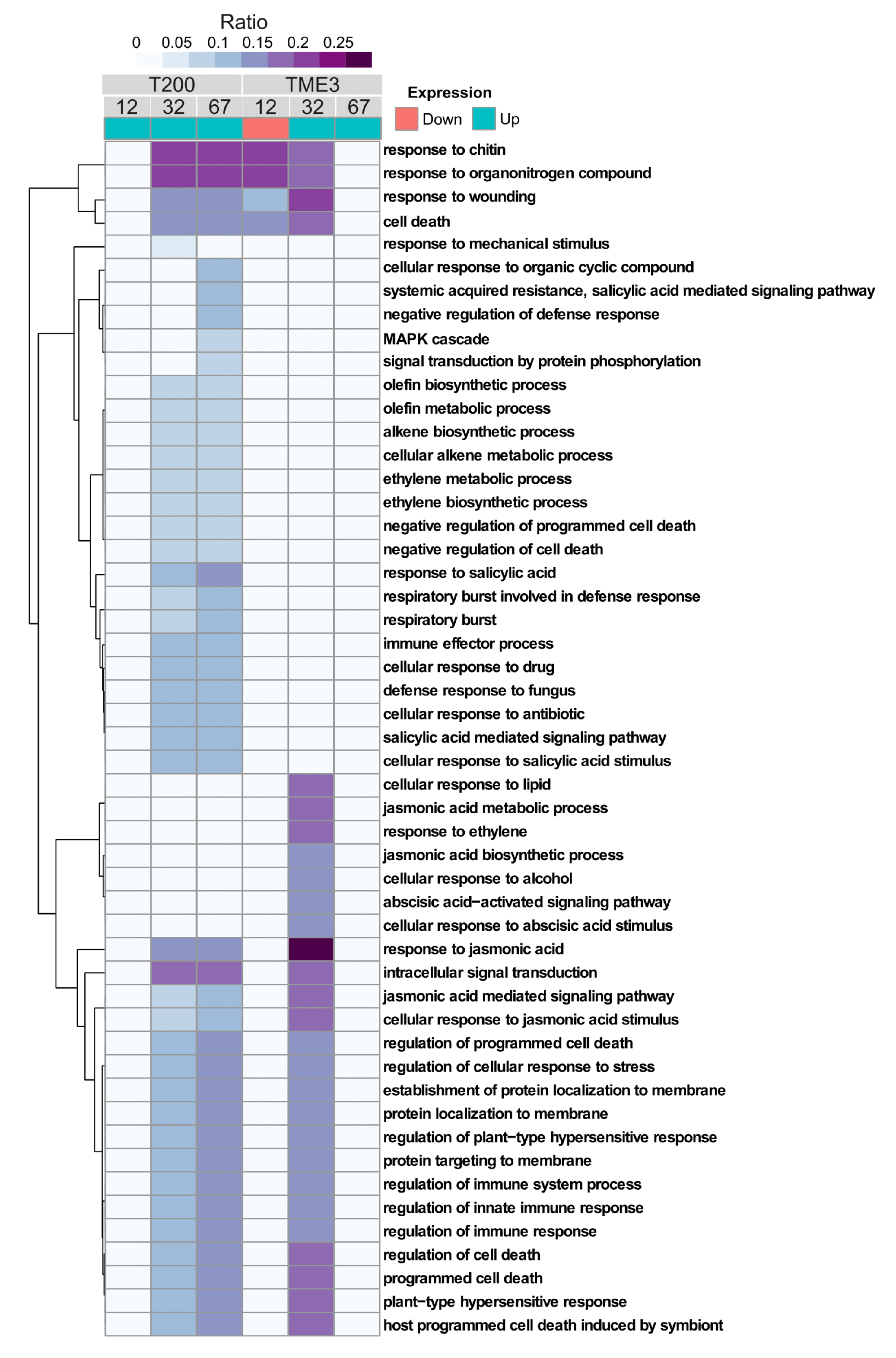 Viruses 13 01820 g007