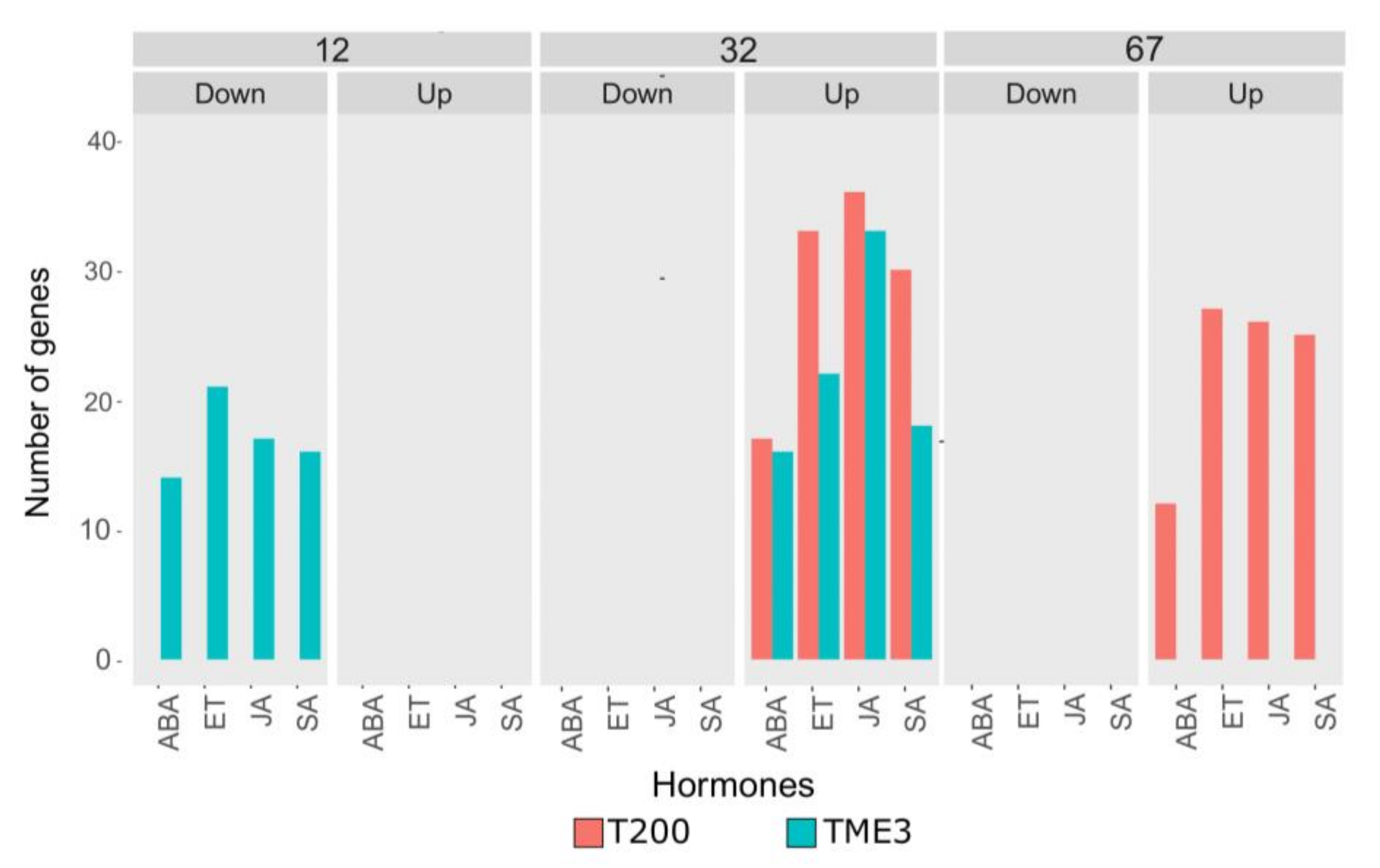 Viruses 13 01820 g008