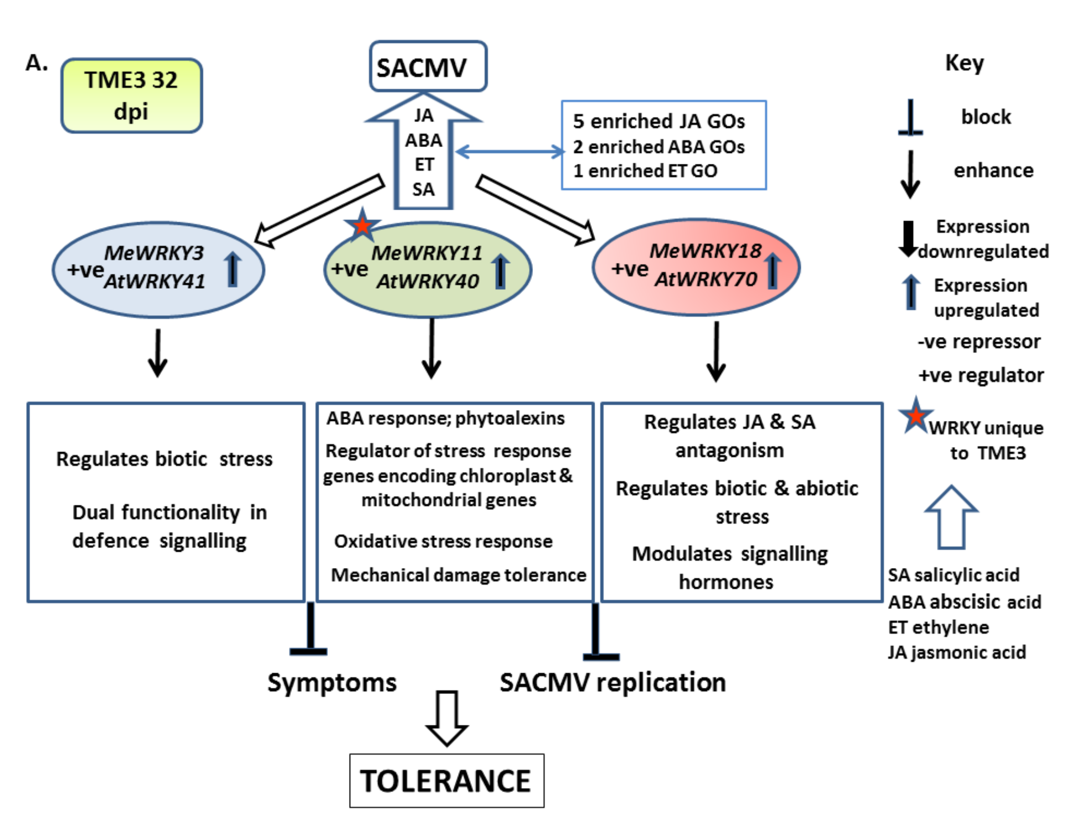 Viruses 13 01820 g009a