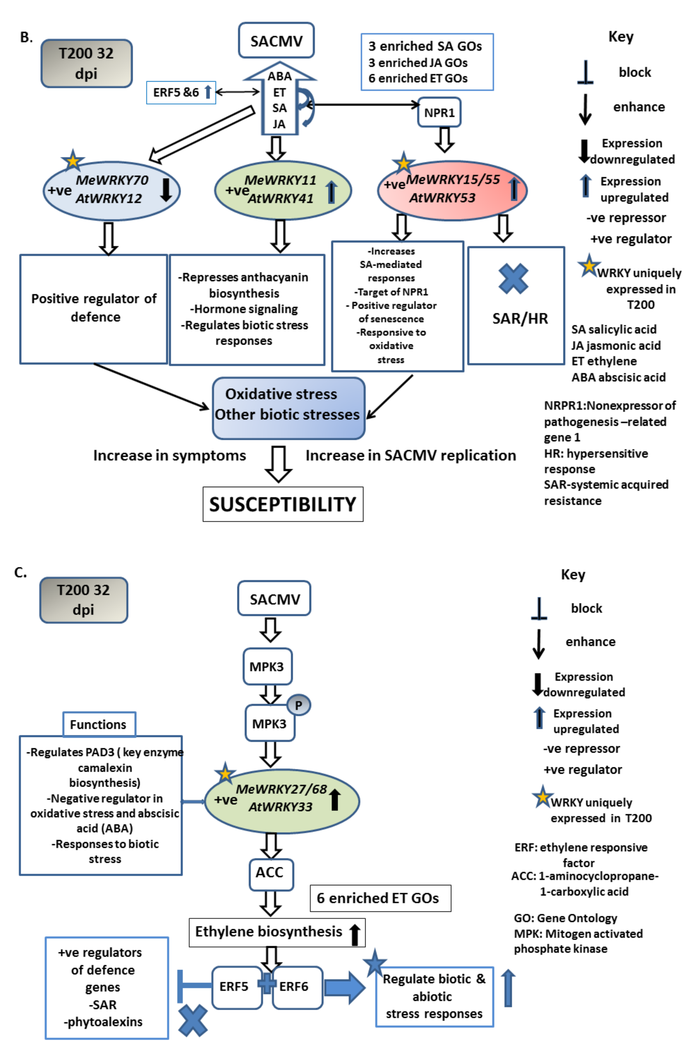 Viruses 13 01820 g009b