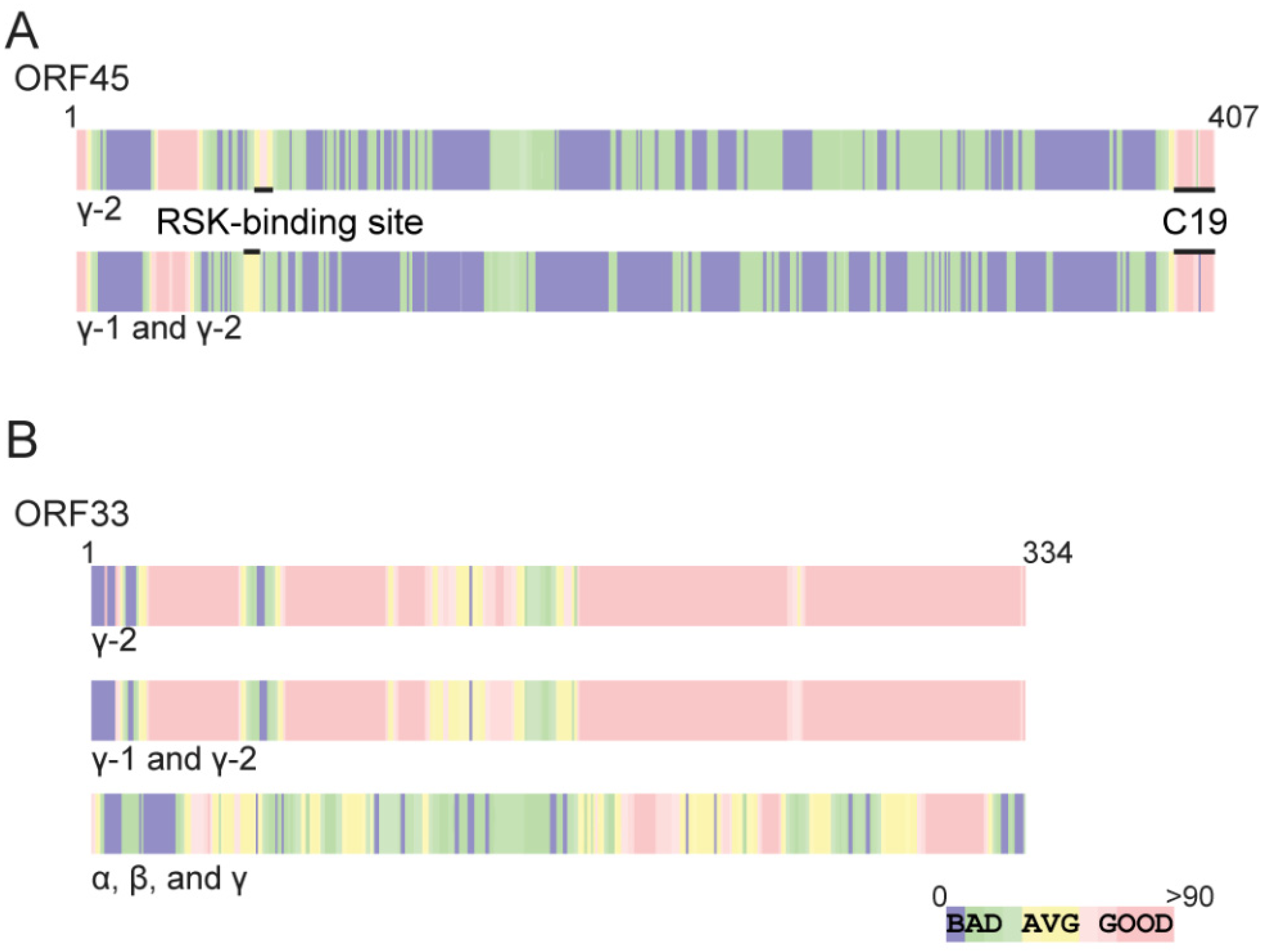 Viruses 13 01828 g001