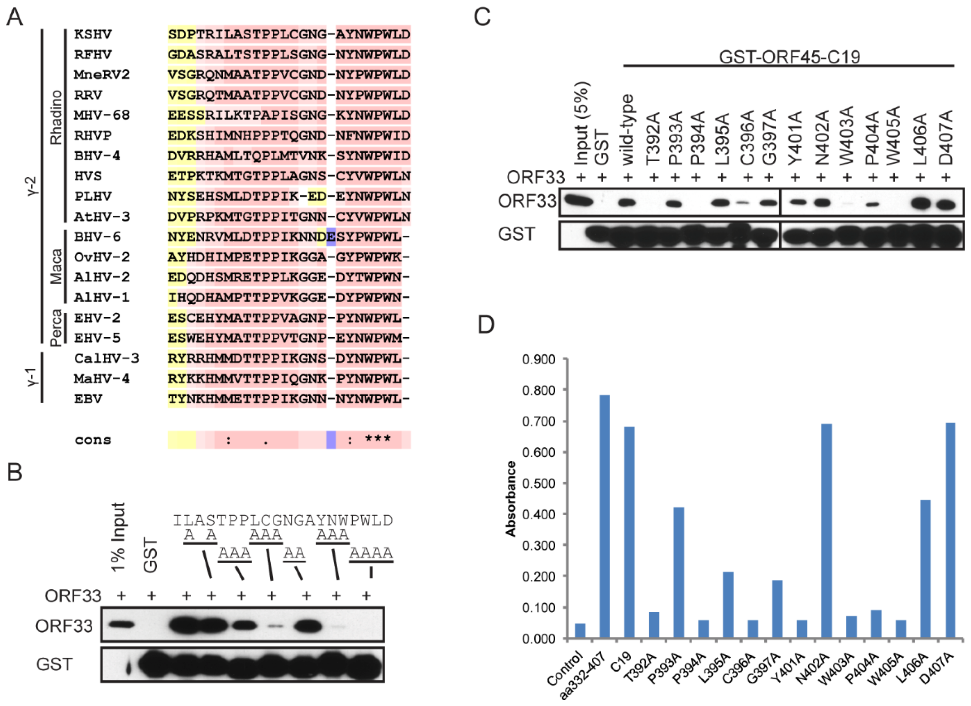 Viruses 13 01828 g004