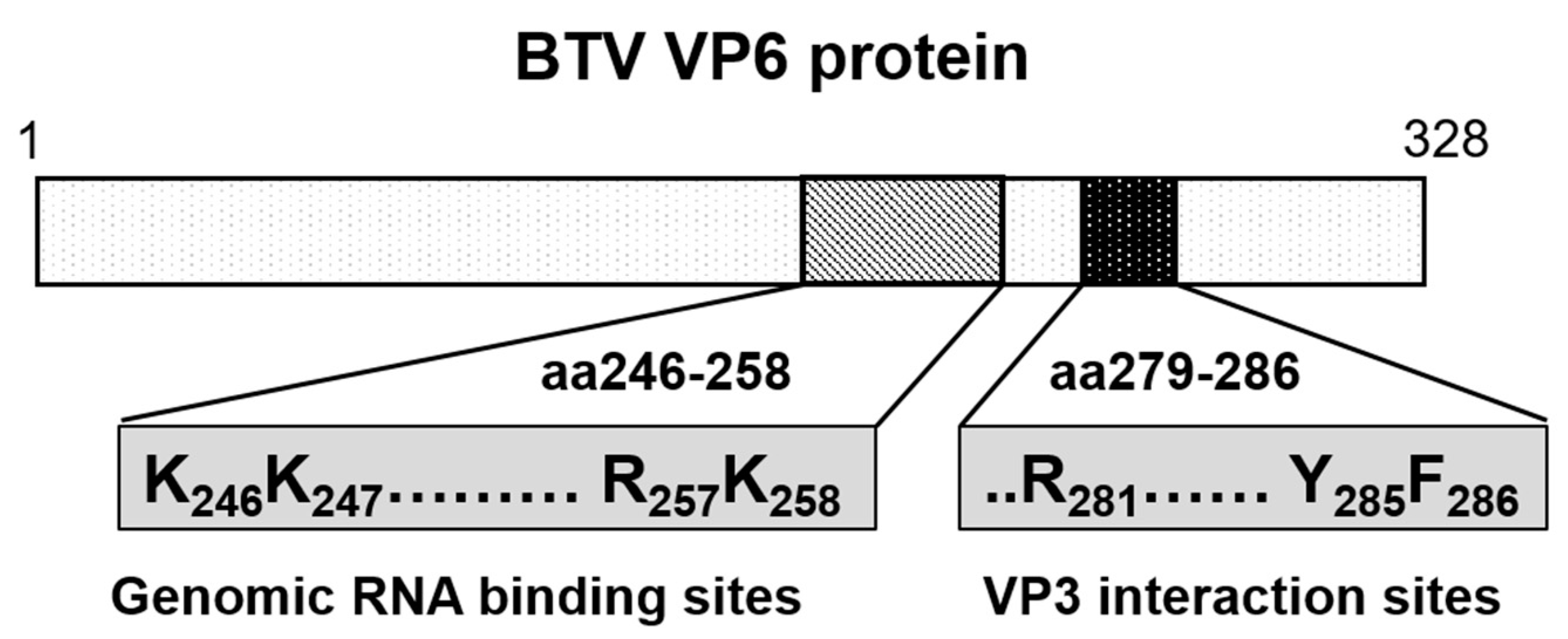 Viruses 13 01841 g009