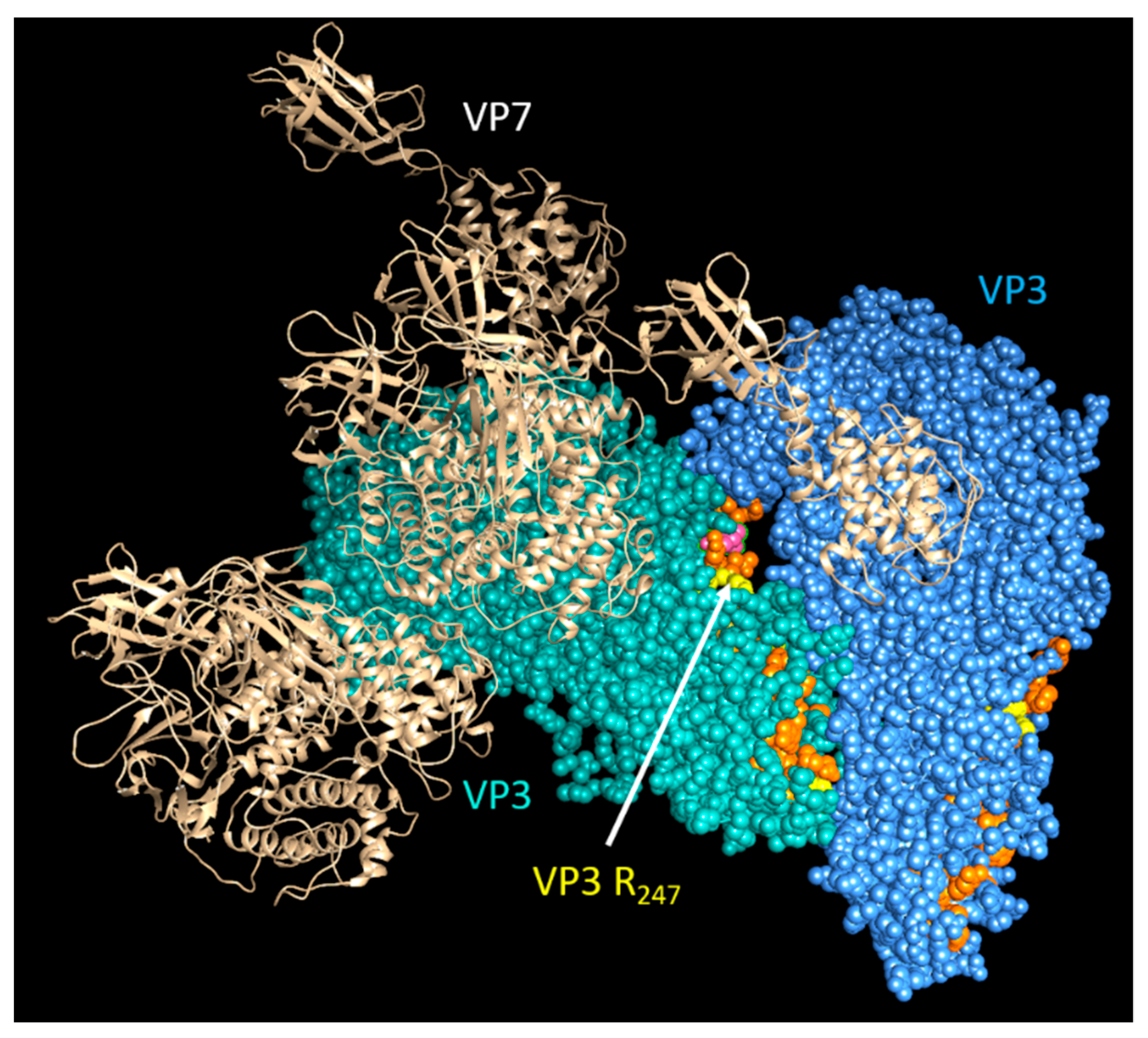 Viruses 13 01841 g010