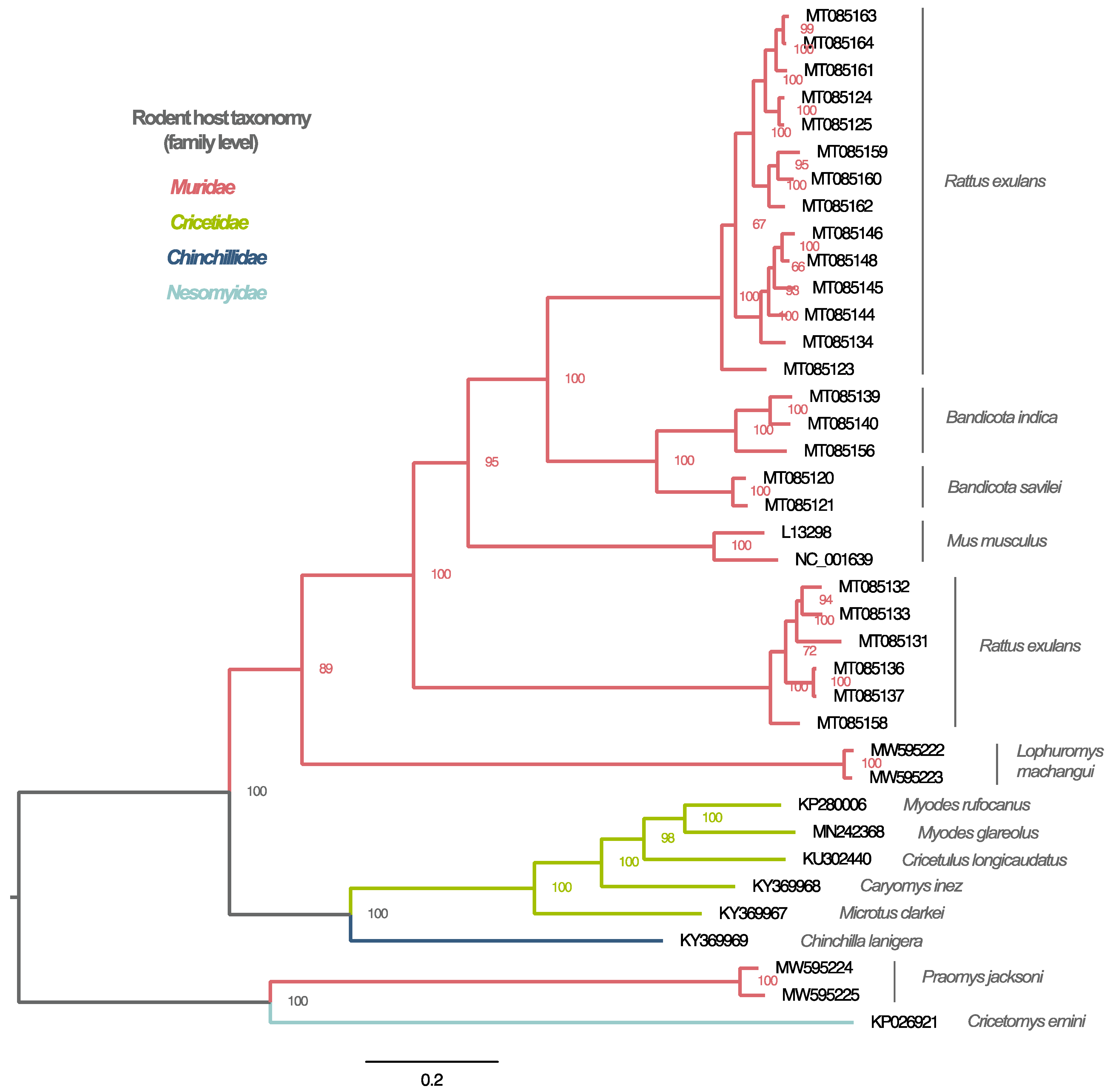 Viruses 13 01842 g003 Viruses 13 01842 g003