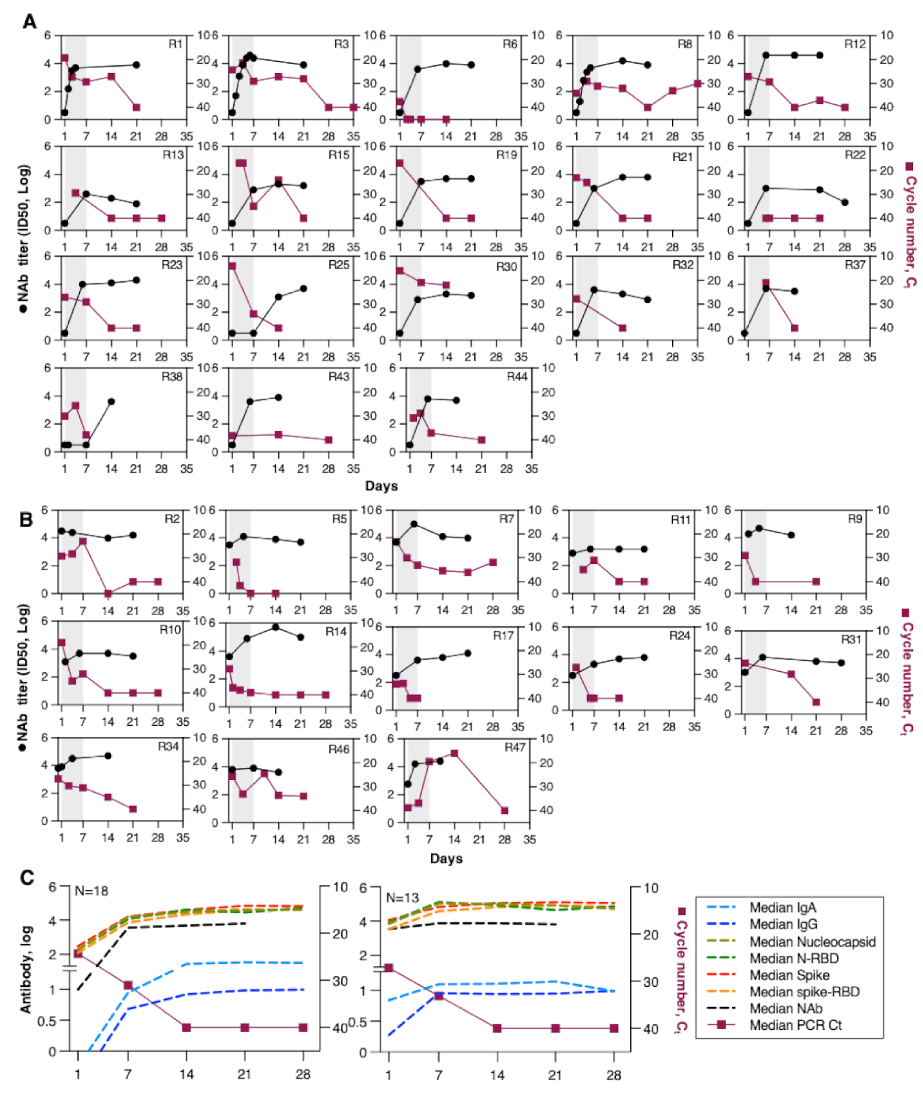 Viruses 13 01844 g003