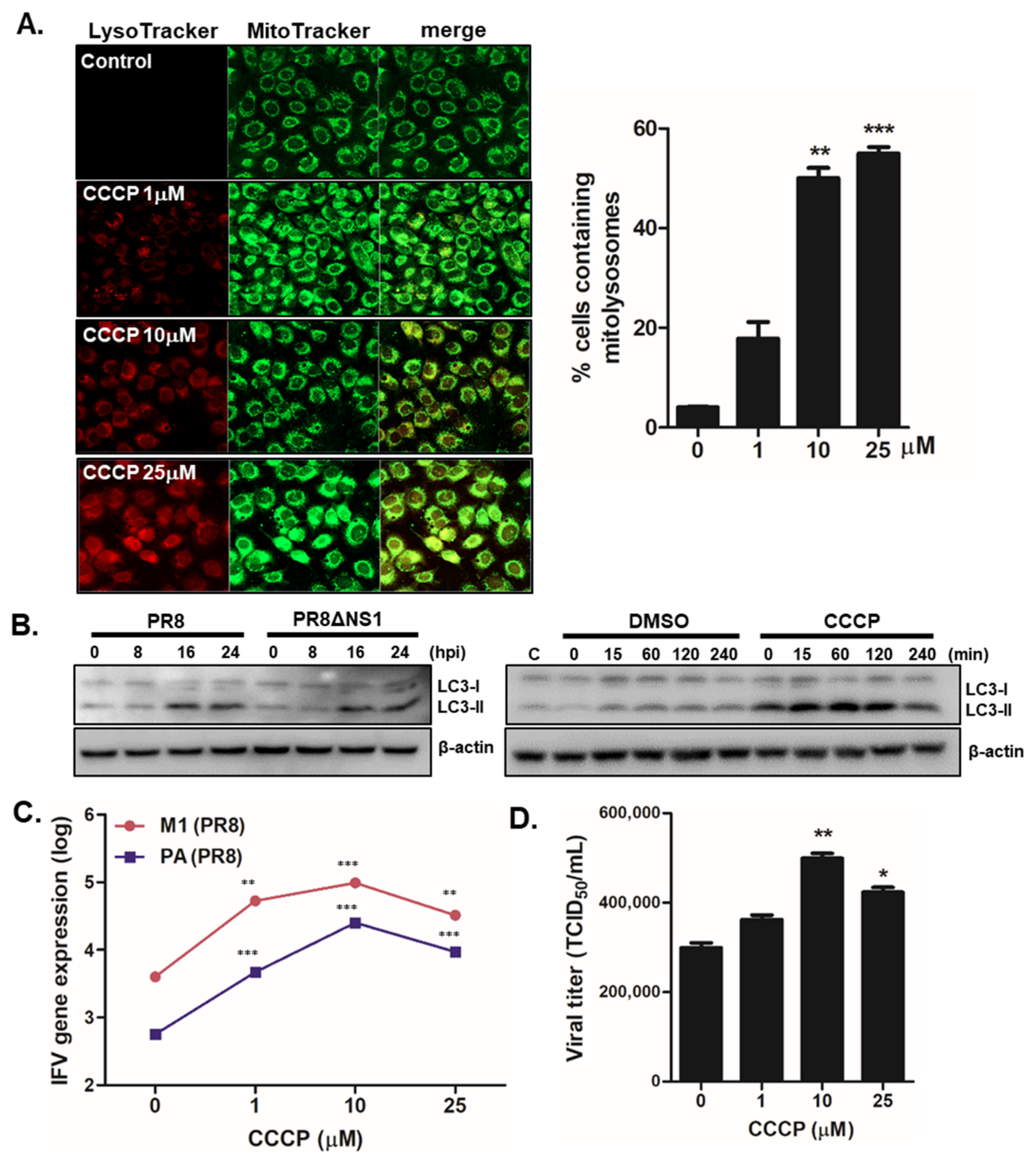 Viruses 13 01845 g002