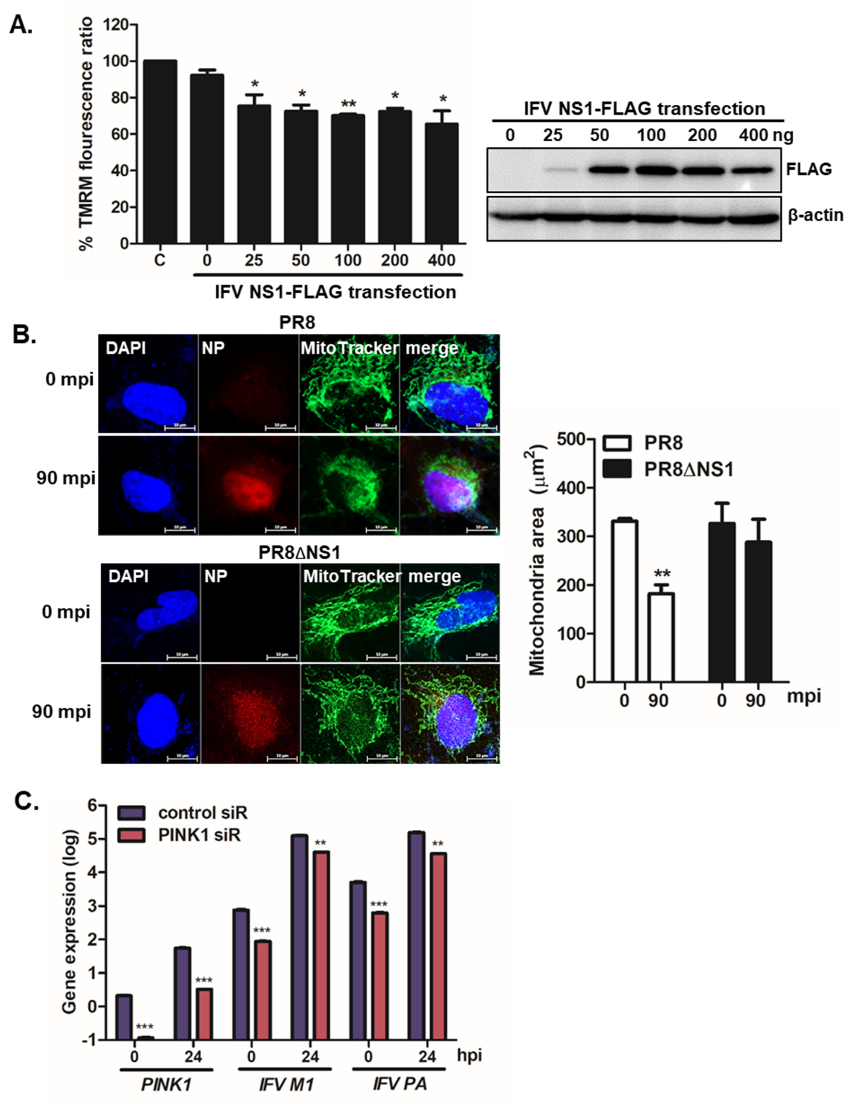 Viruses 13 01845 g003