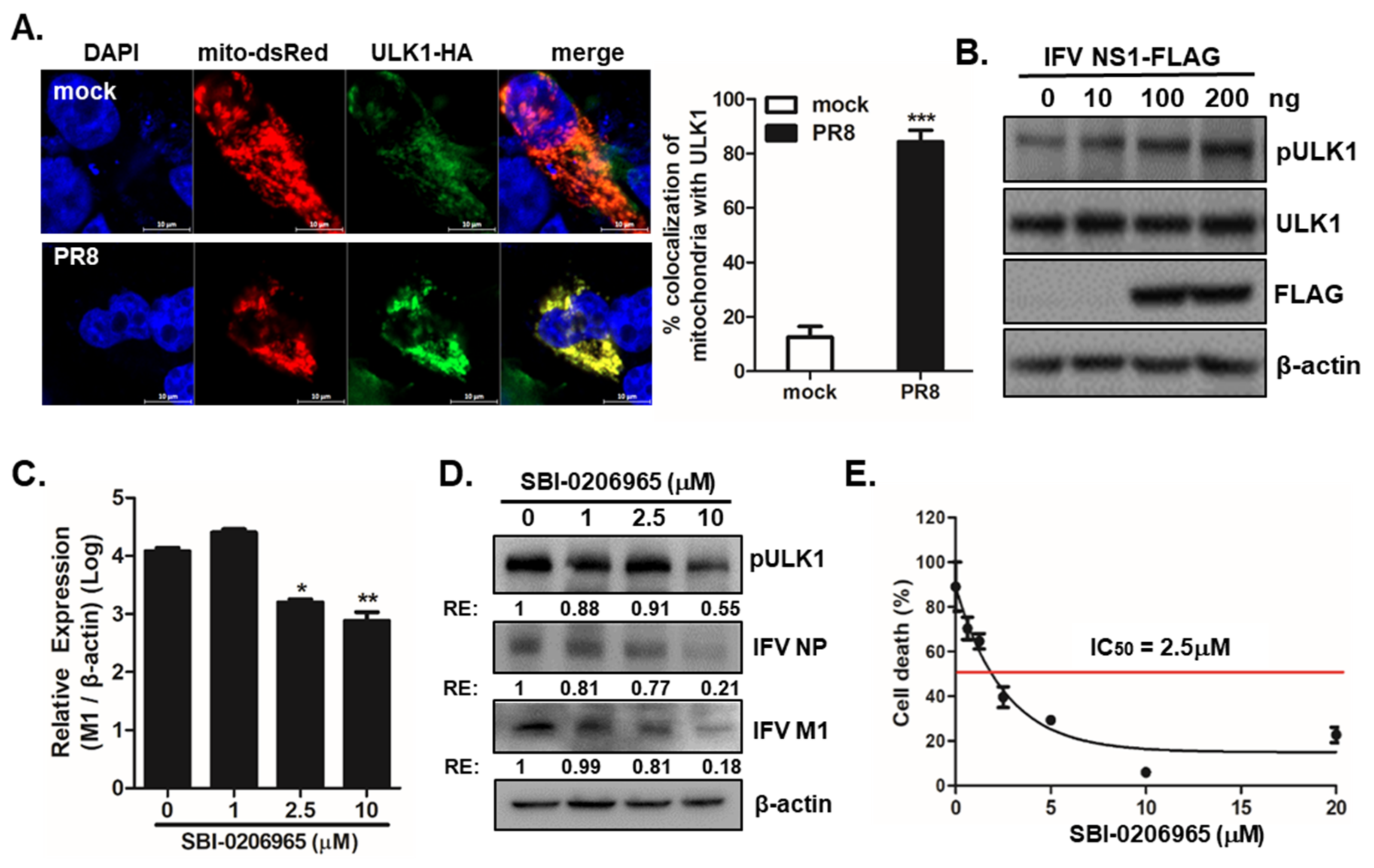 Viruses 13 01845 g004