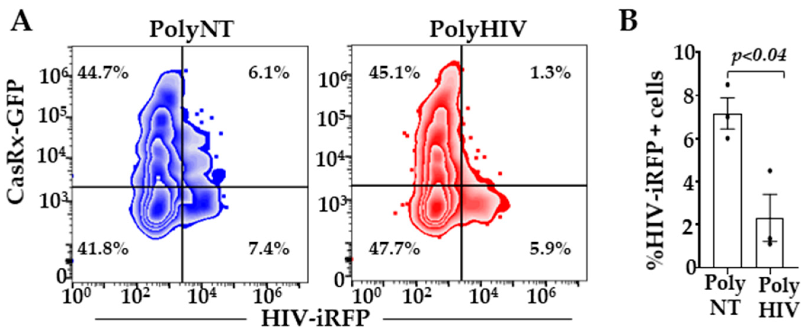 Viruses 13 01850 g004