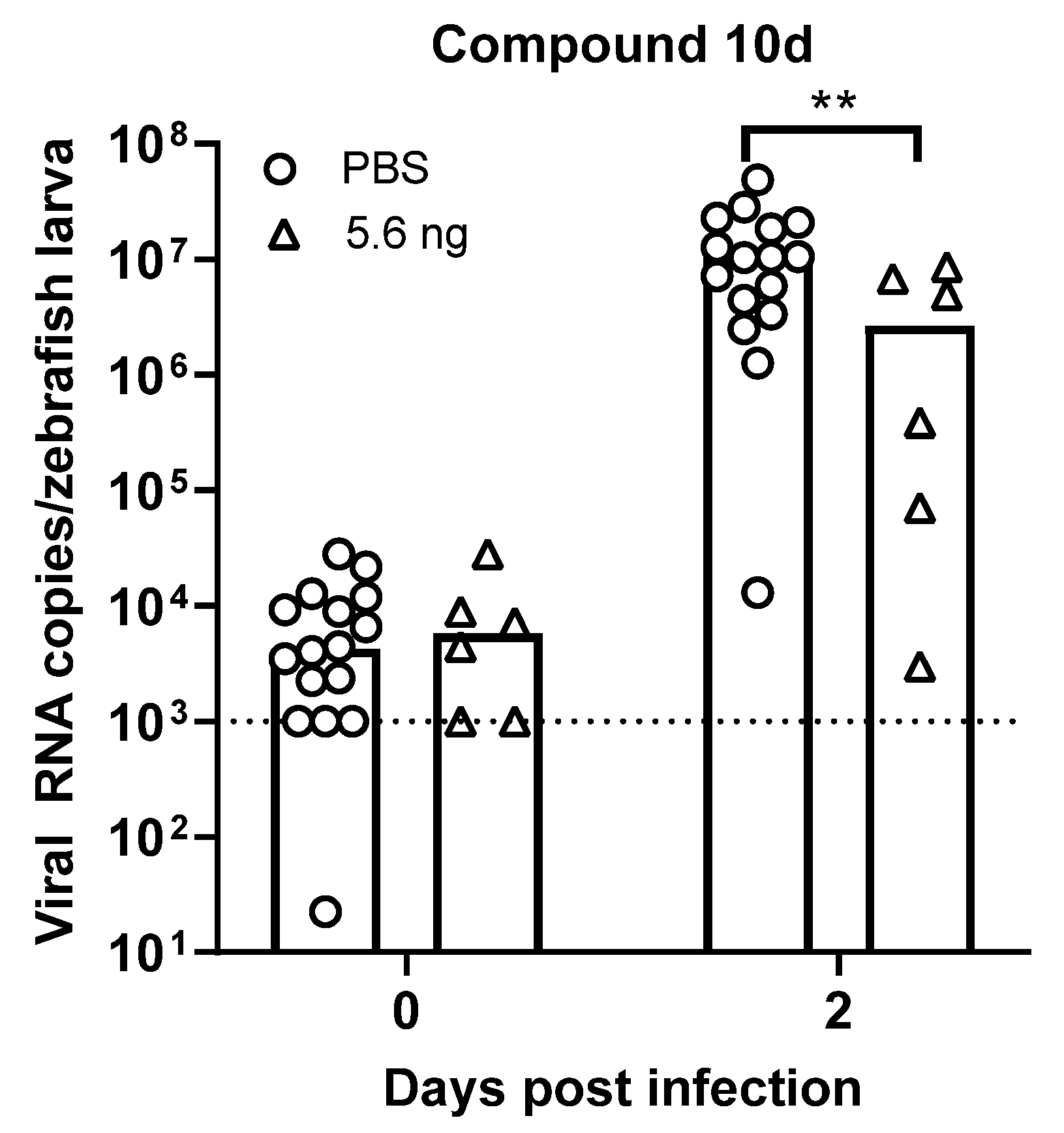 Viruses 13 01852 g008