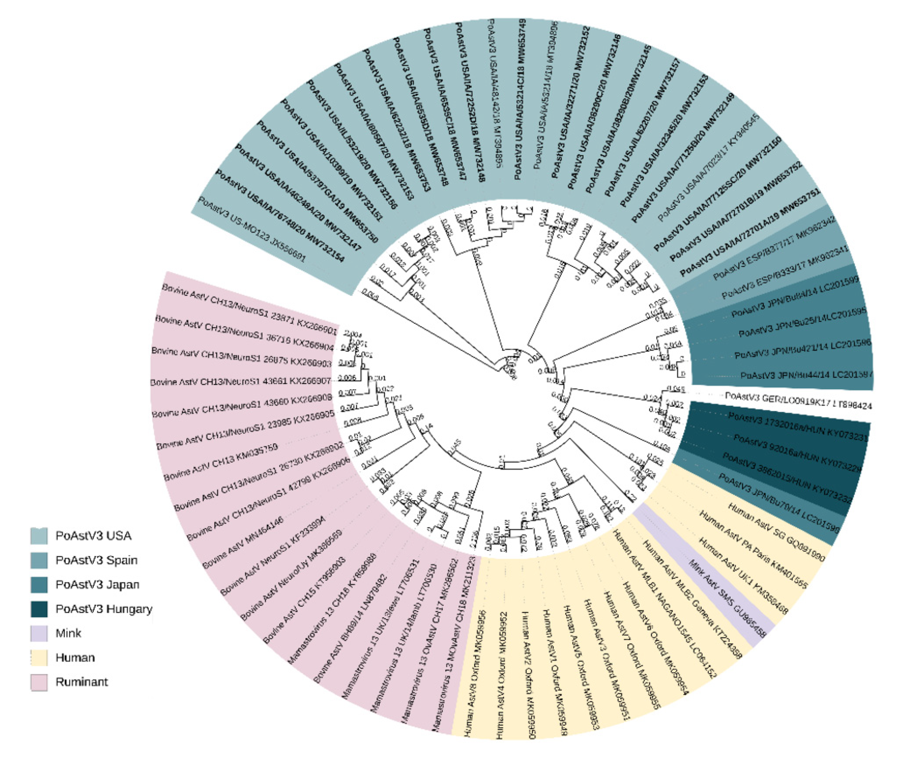 Viruses 13 01859 g001