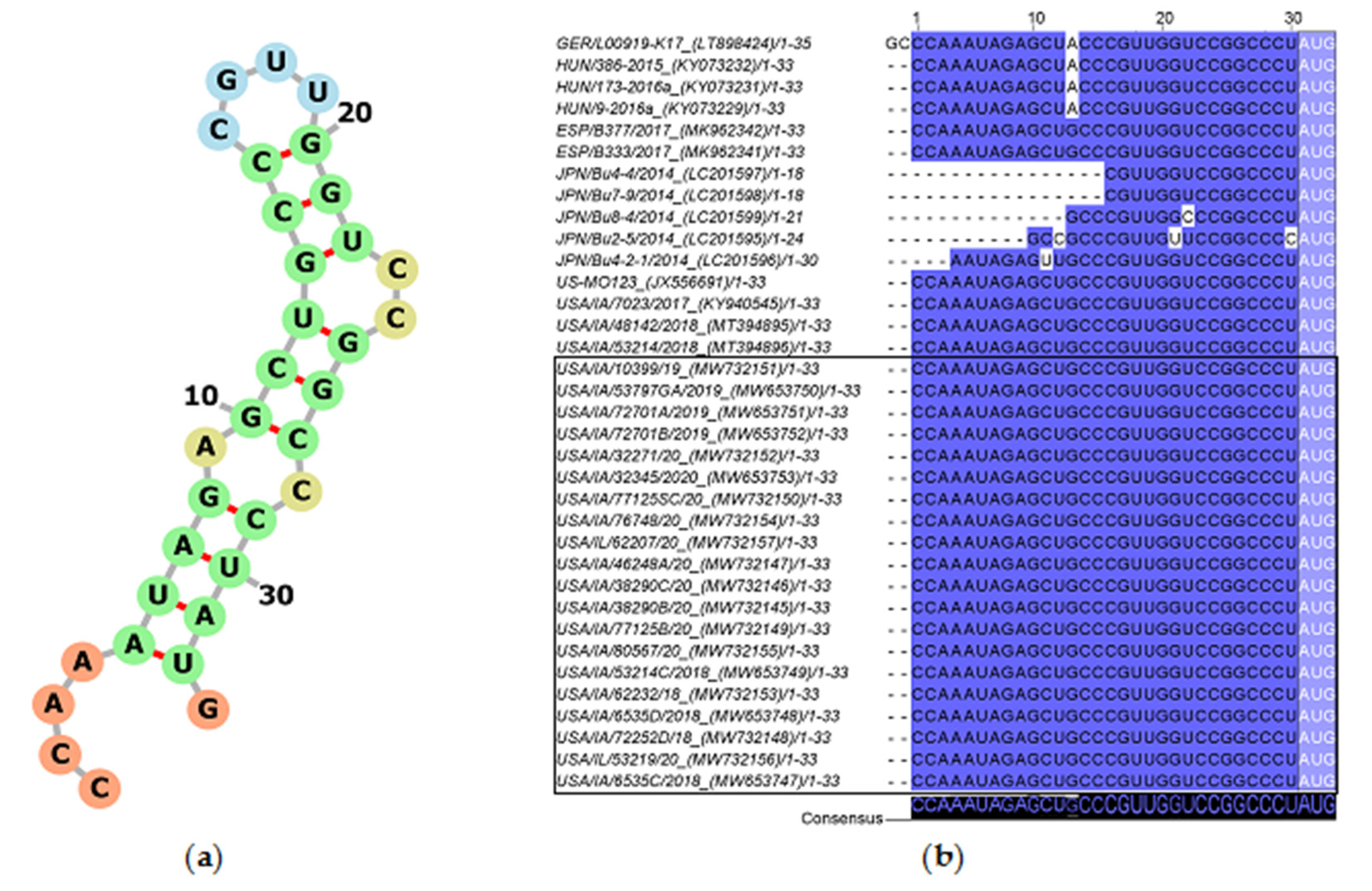 Viruses 13 01859 g002