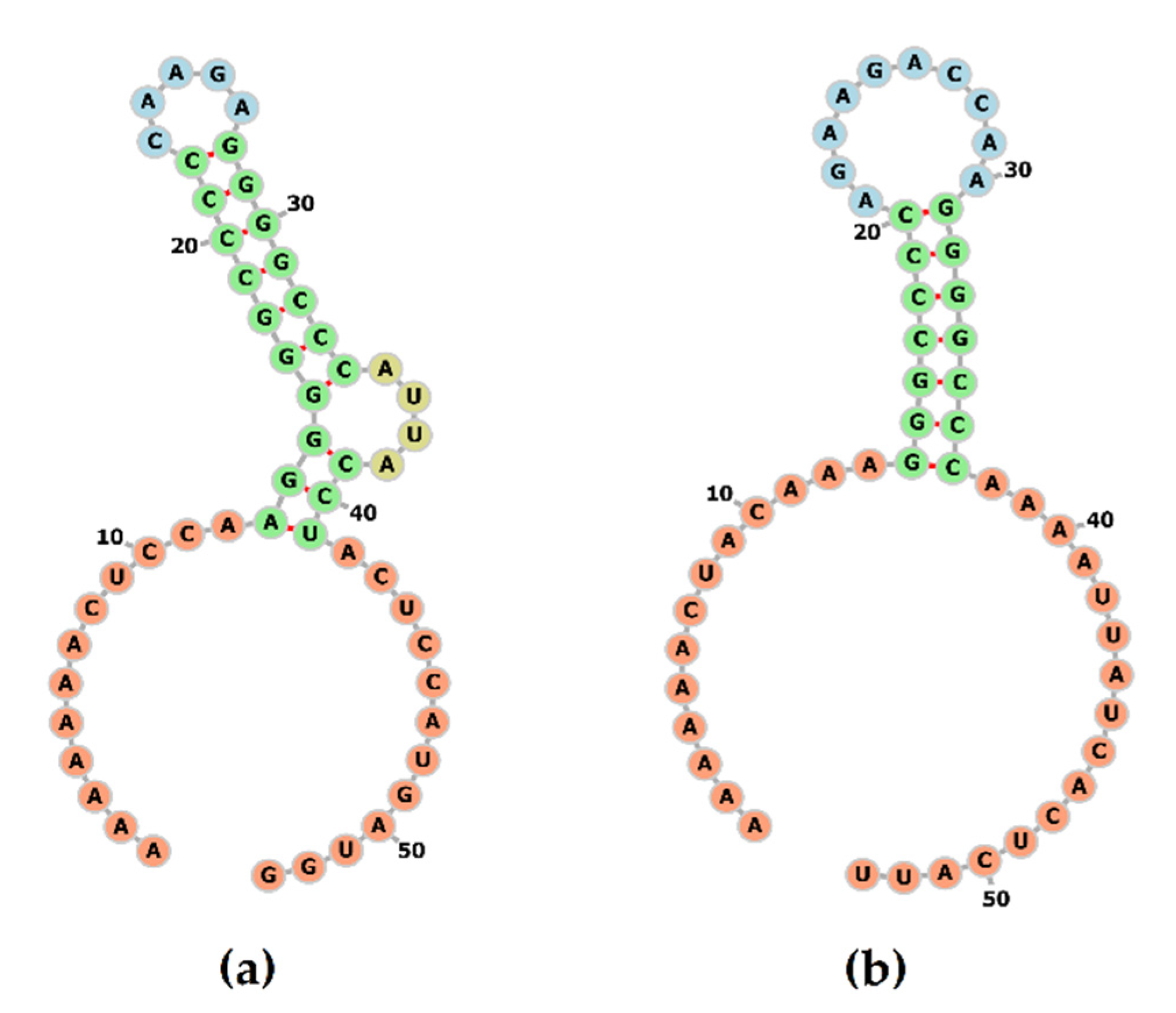 Viruses 13 01859 g003