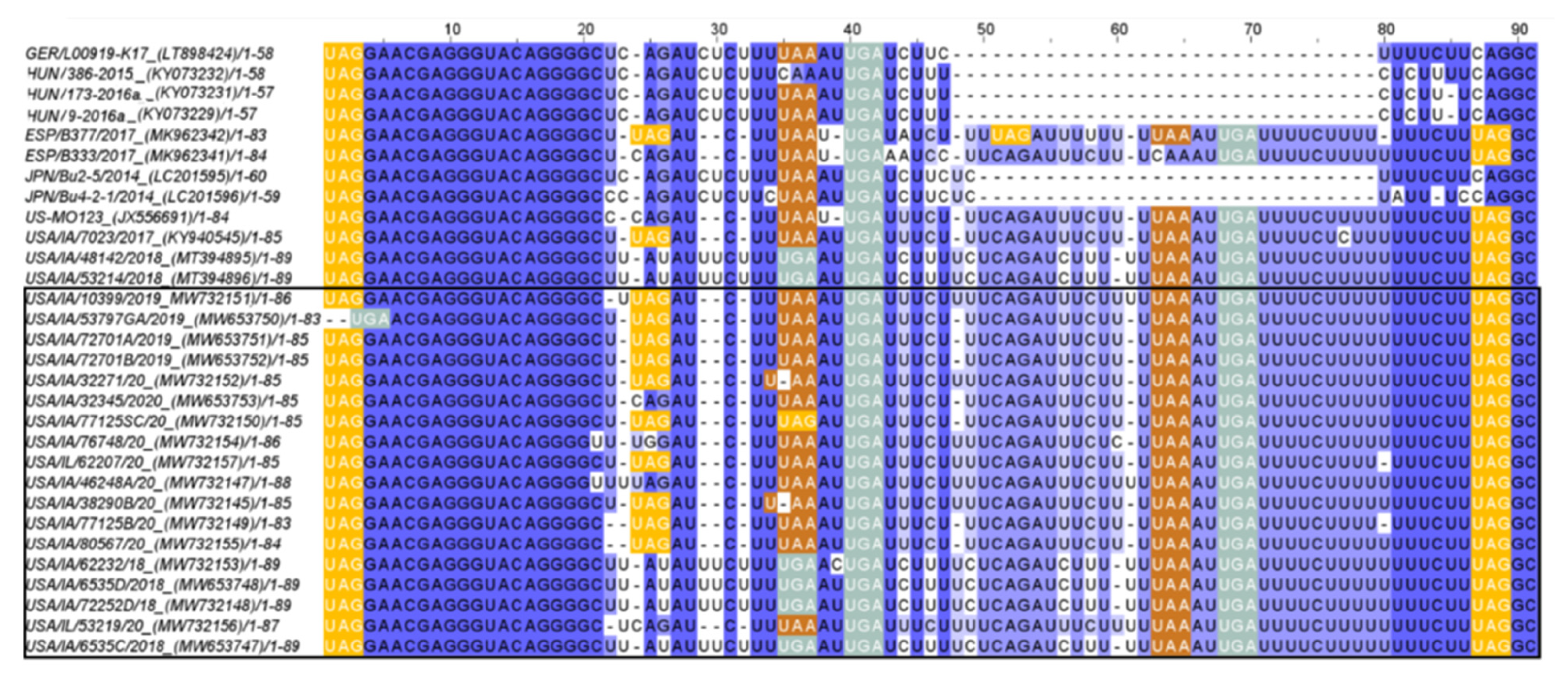 Viruses 13 01859 g004