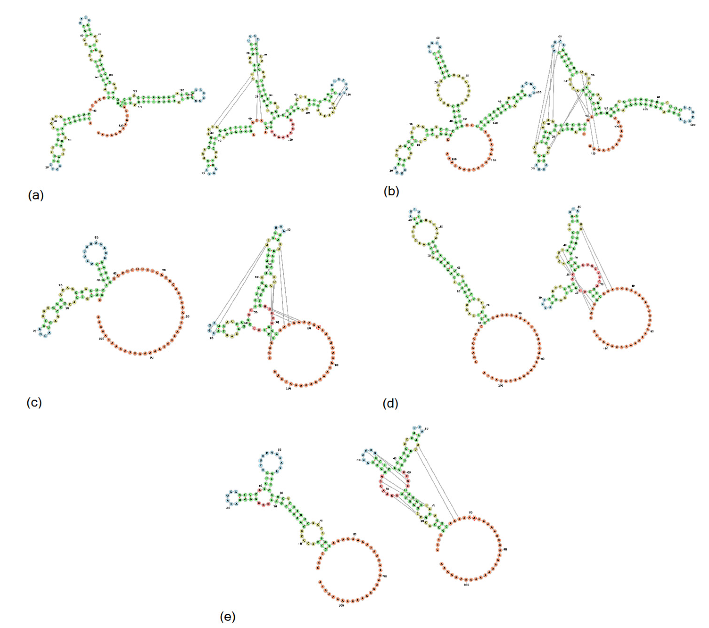 Viruses 13 01859 g005