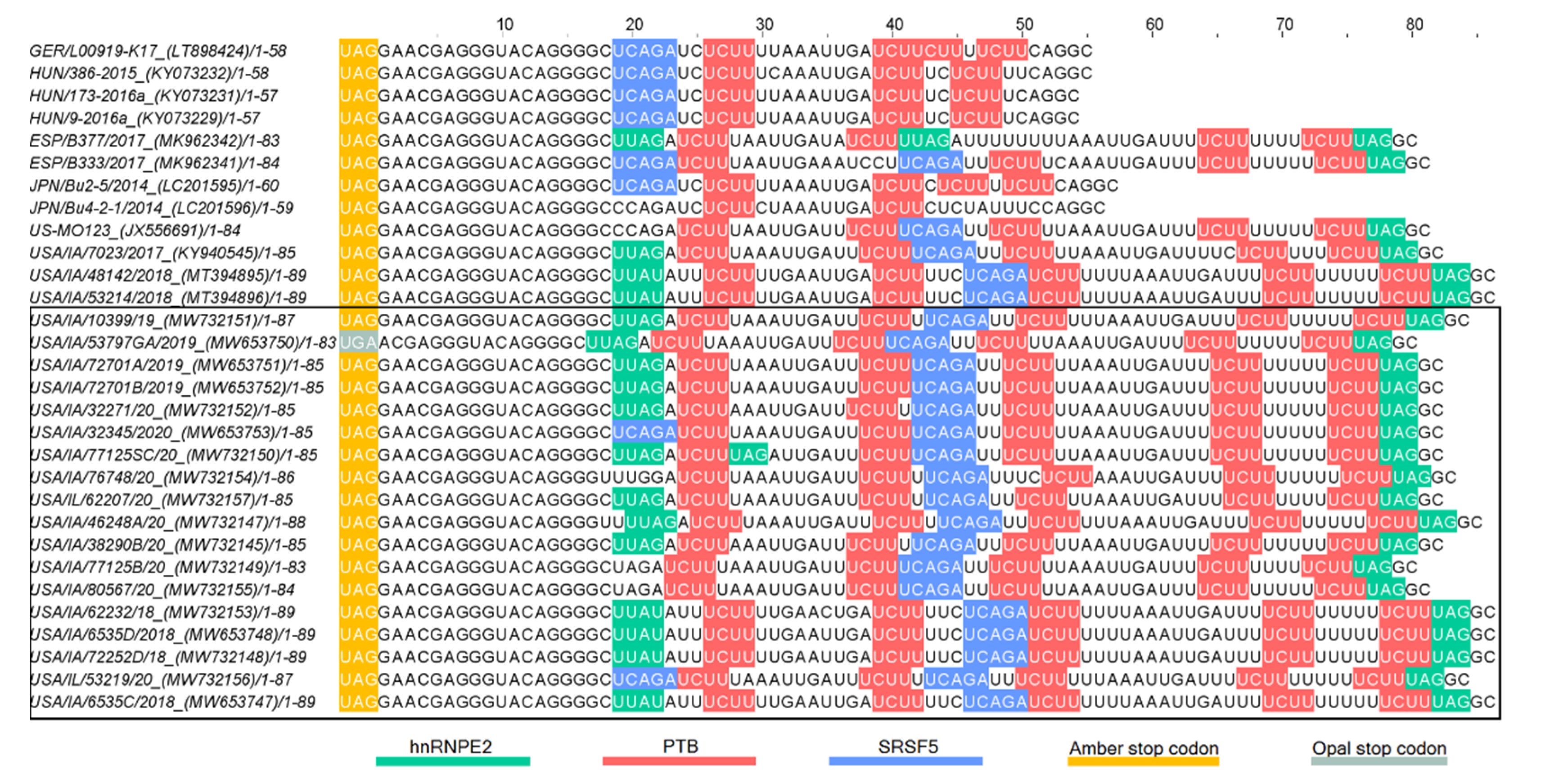 Viruses 13 01859 g006