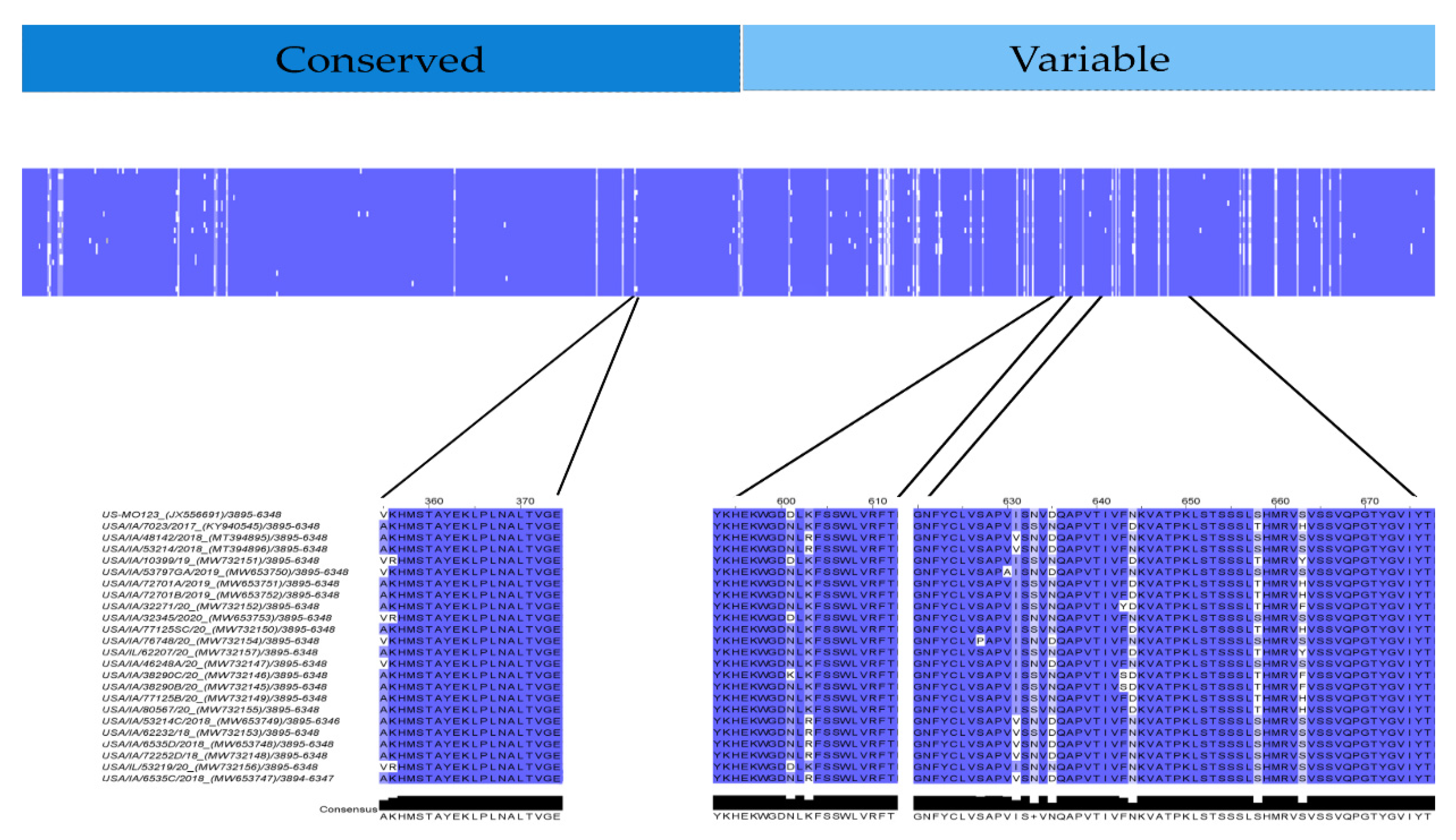 Viruses 13 01859 g008