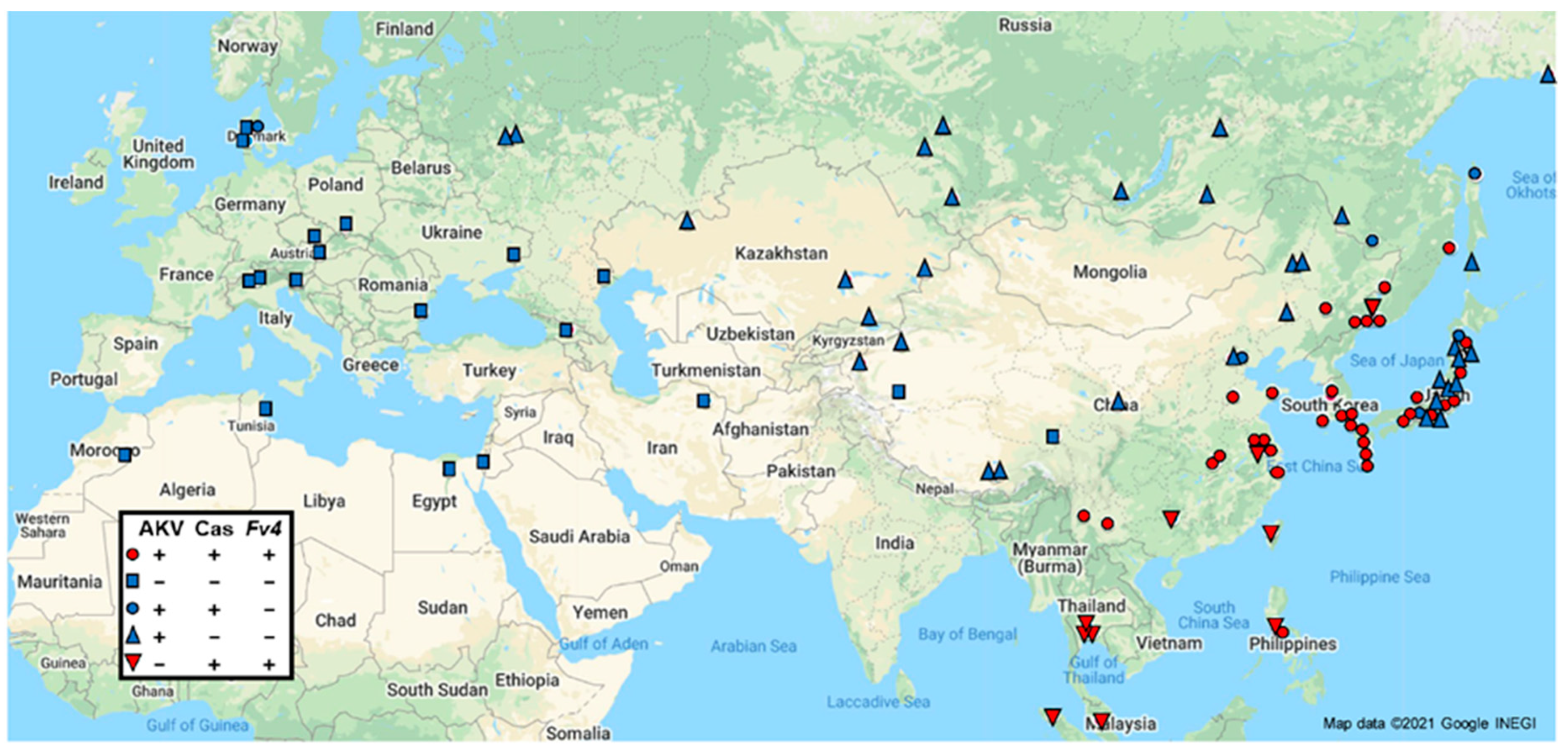 Viruses 13 01864 g002