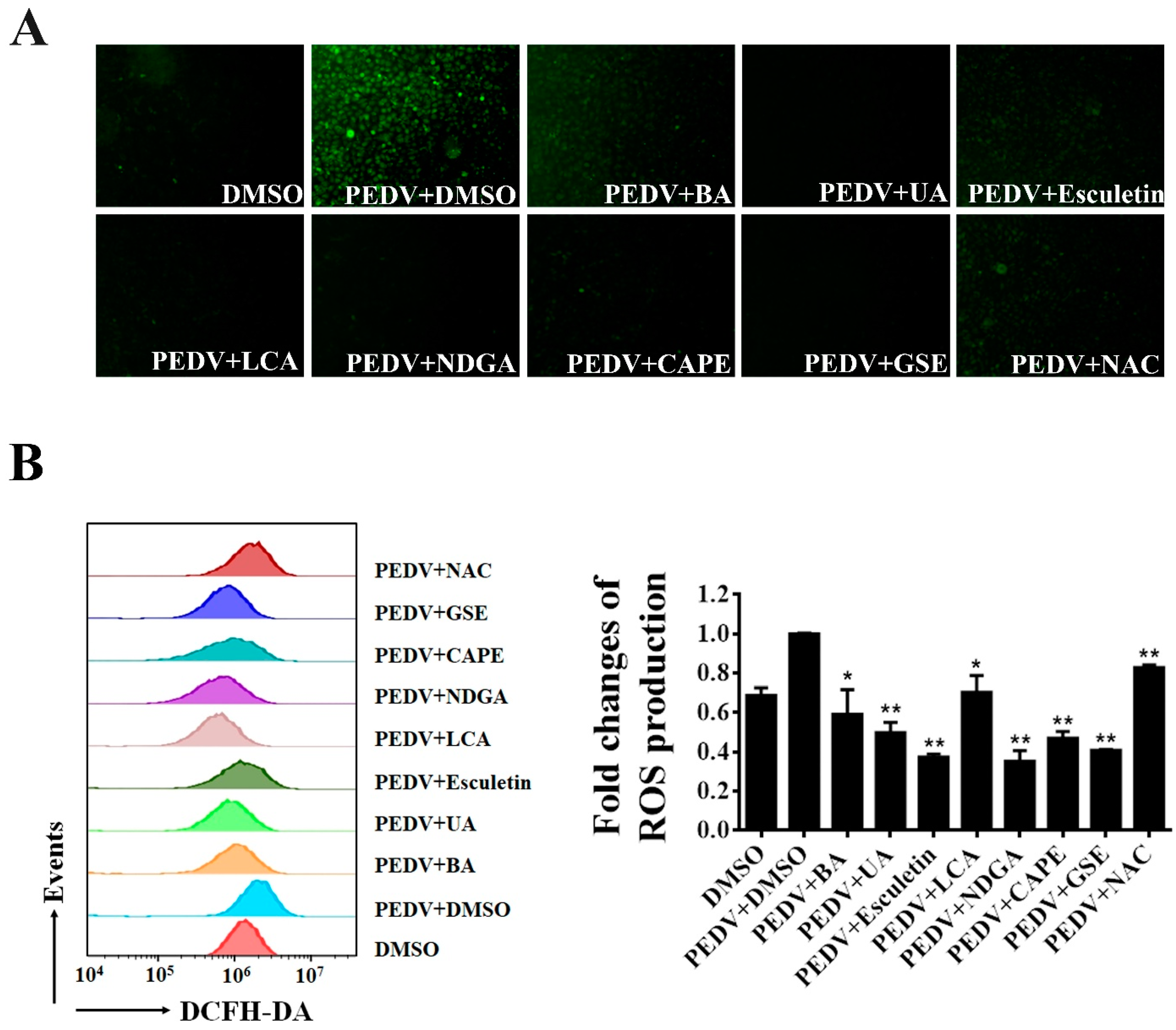 Viruses 13 01866 g006