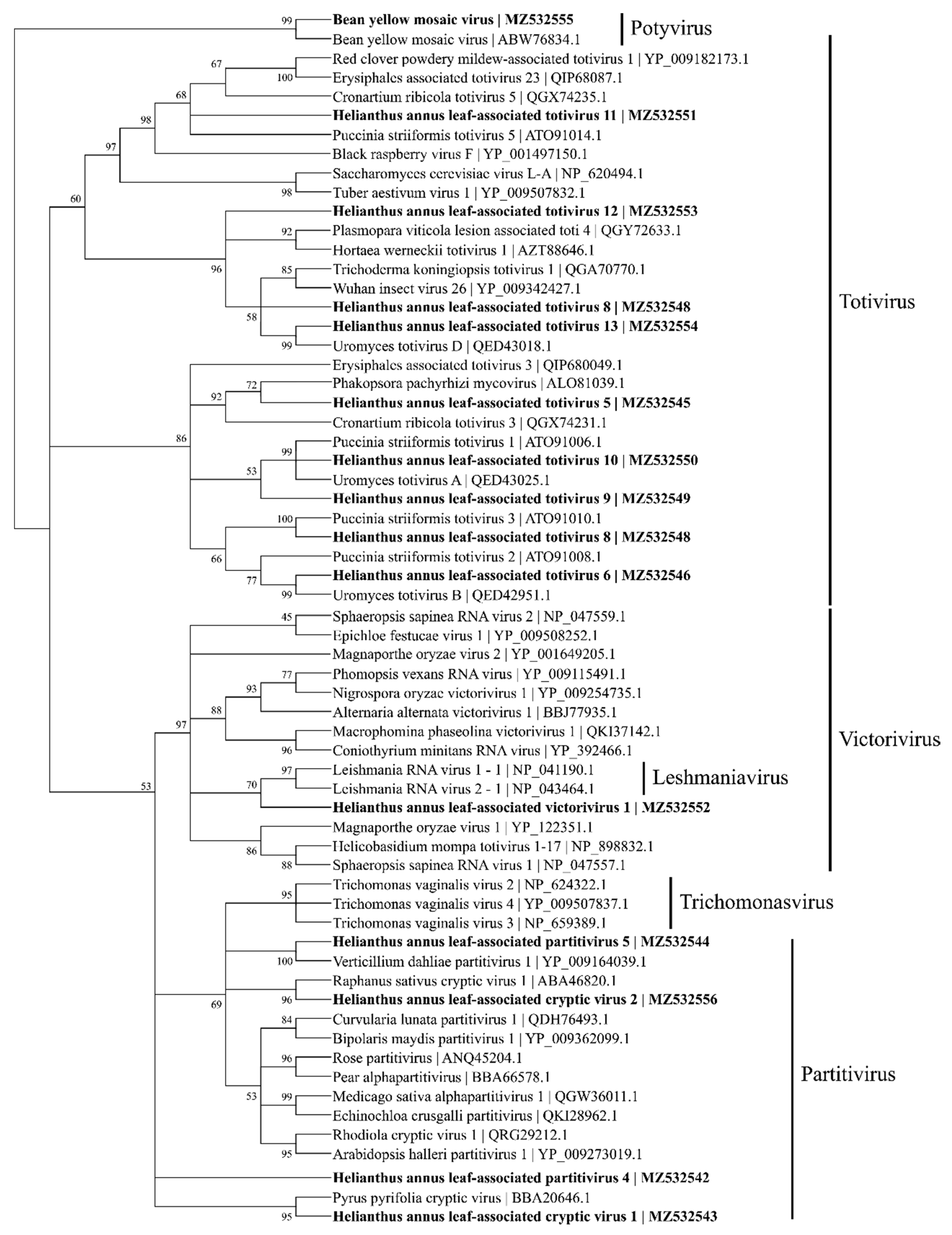 Viruses 13 01867 g005