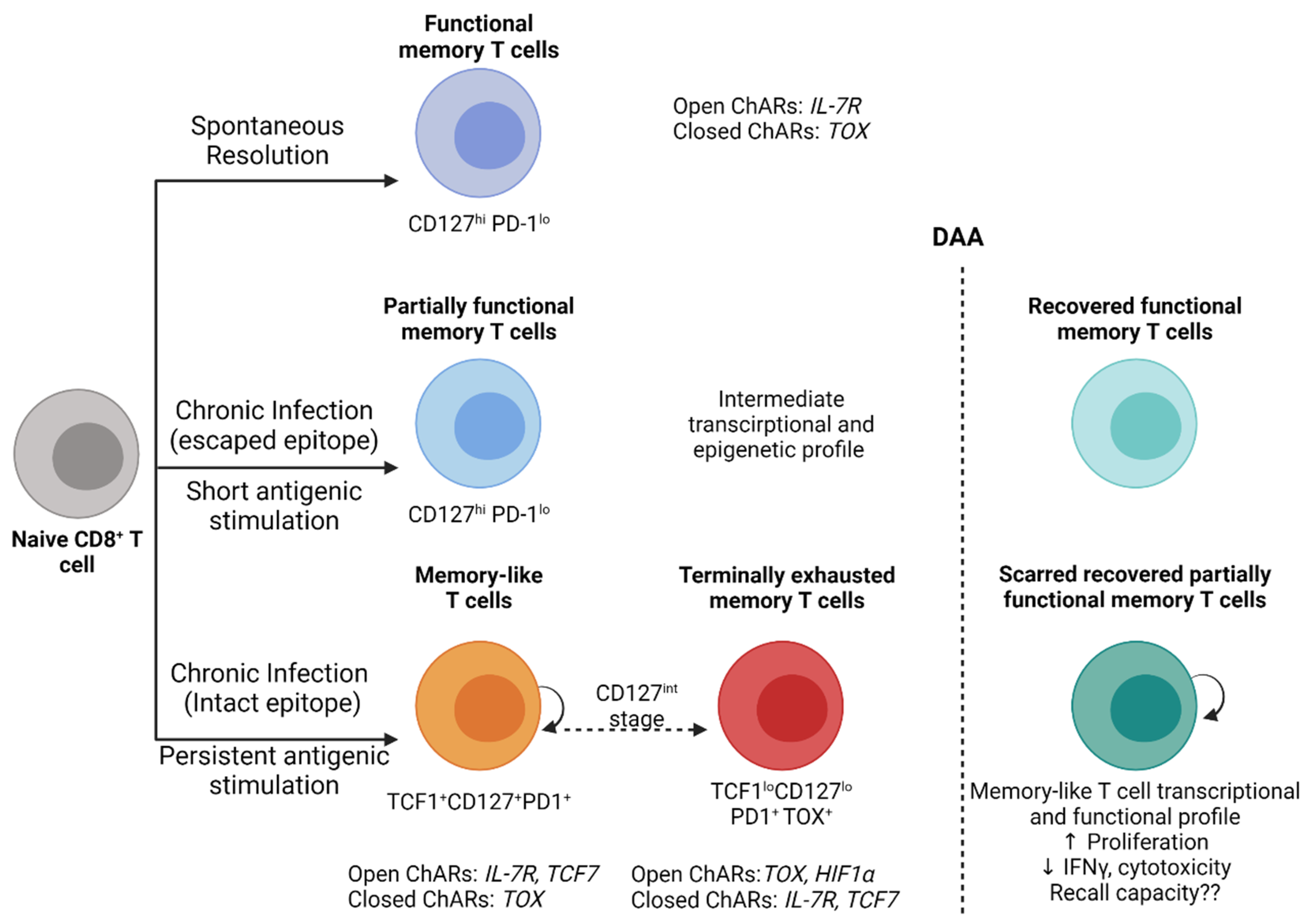 Viruses 13 01871 g001