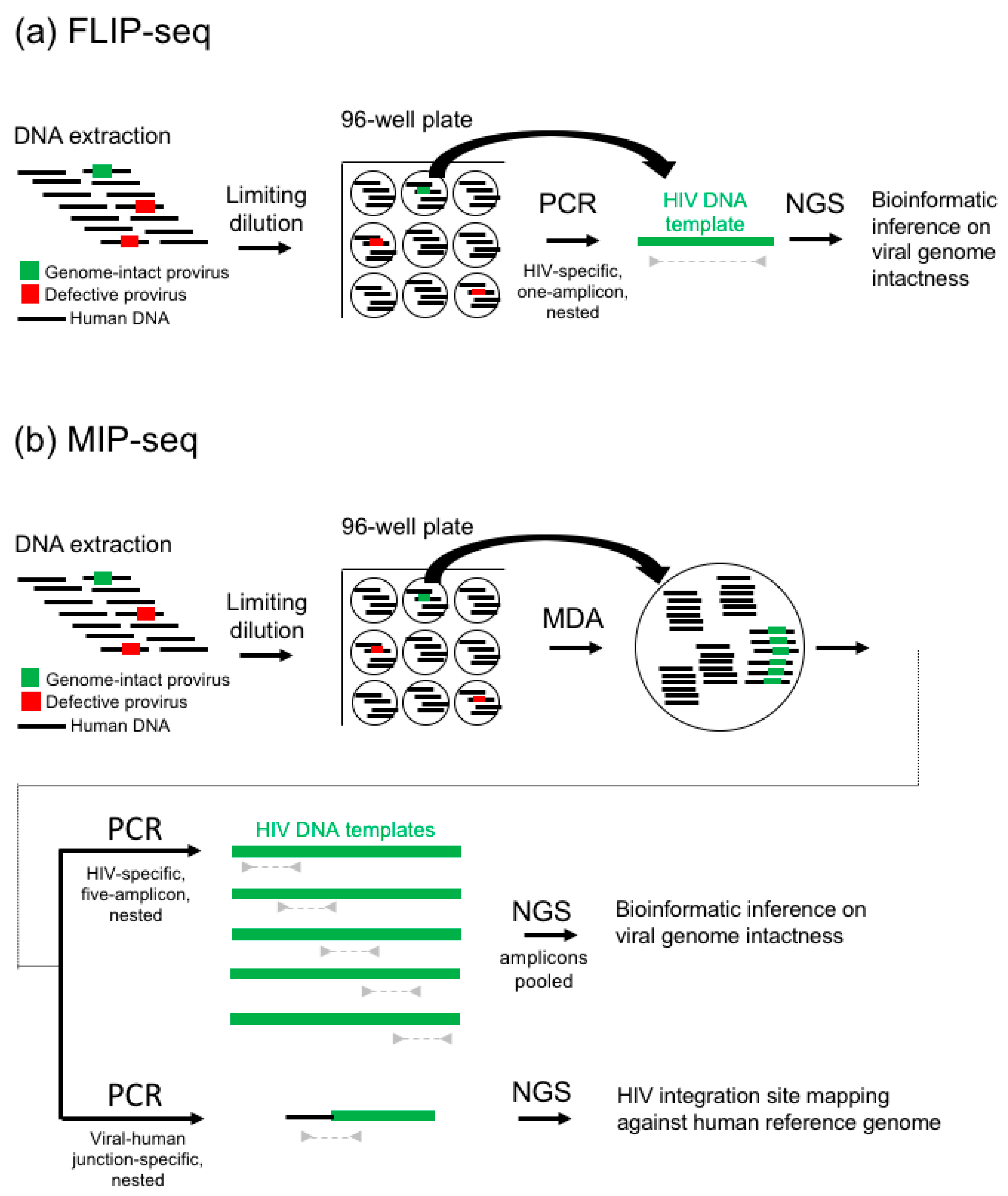 Viruses 13 01874 g001