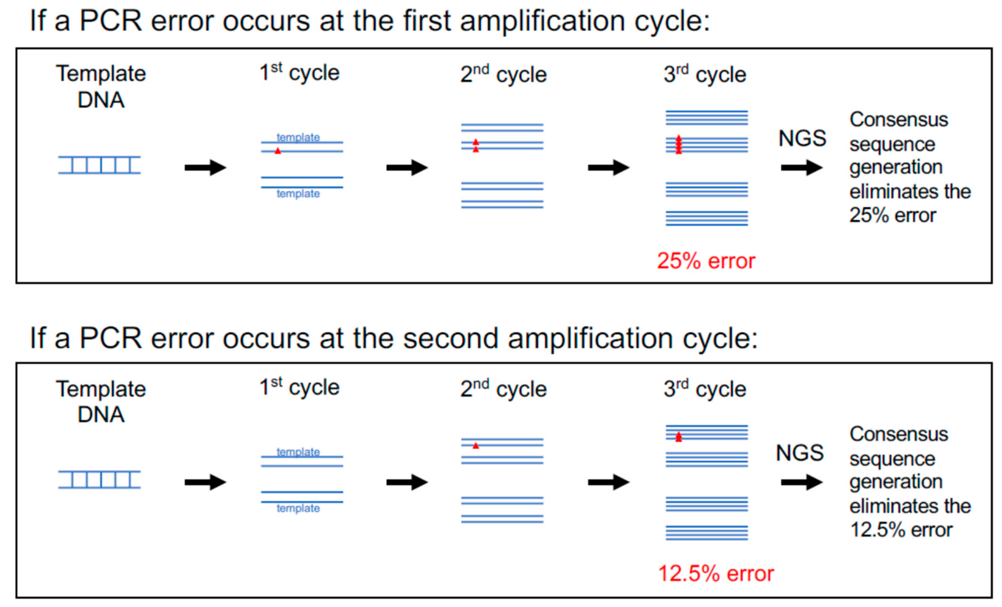 Viruses 13 01874 g003