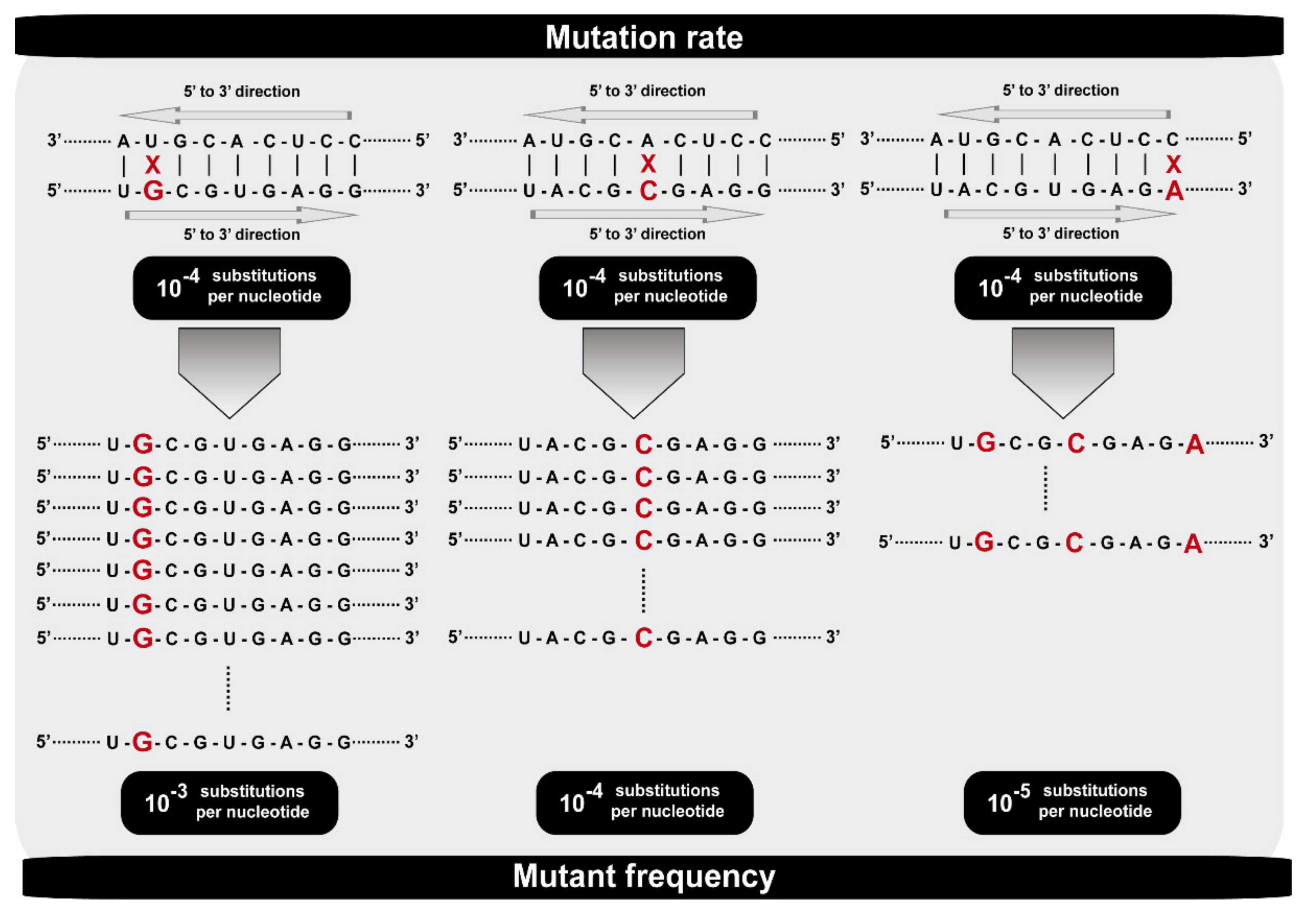 Viruses 13 01882 g001