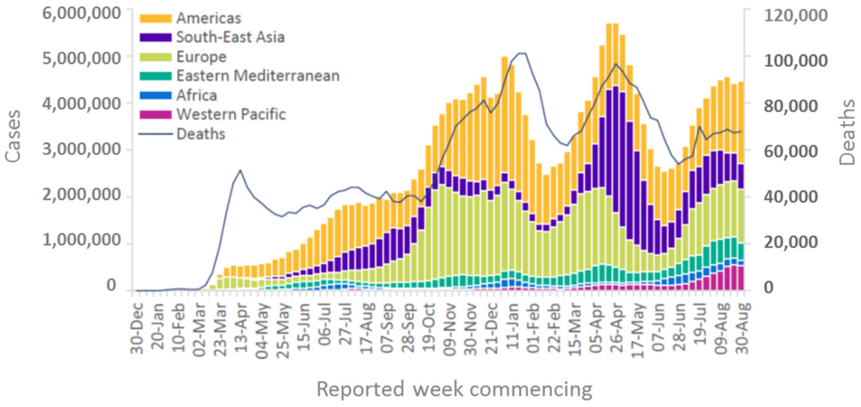 Viruses 13 01887 g001
