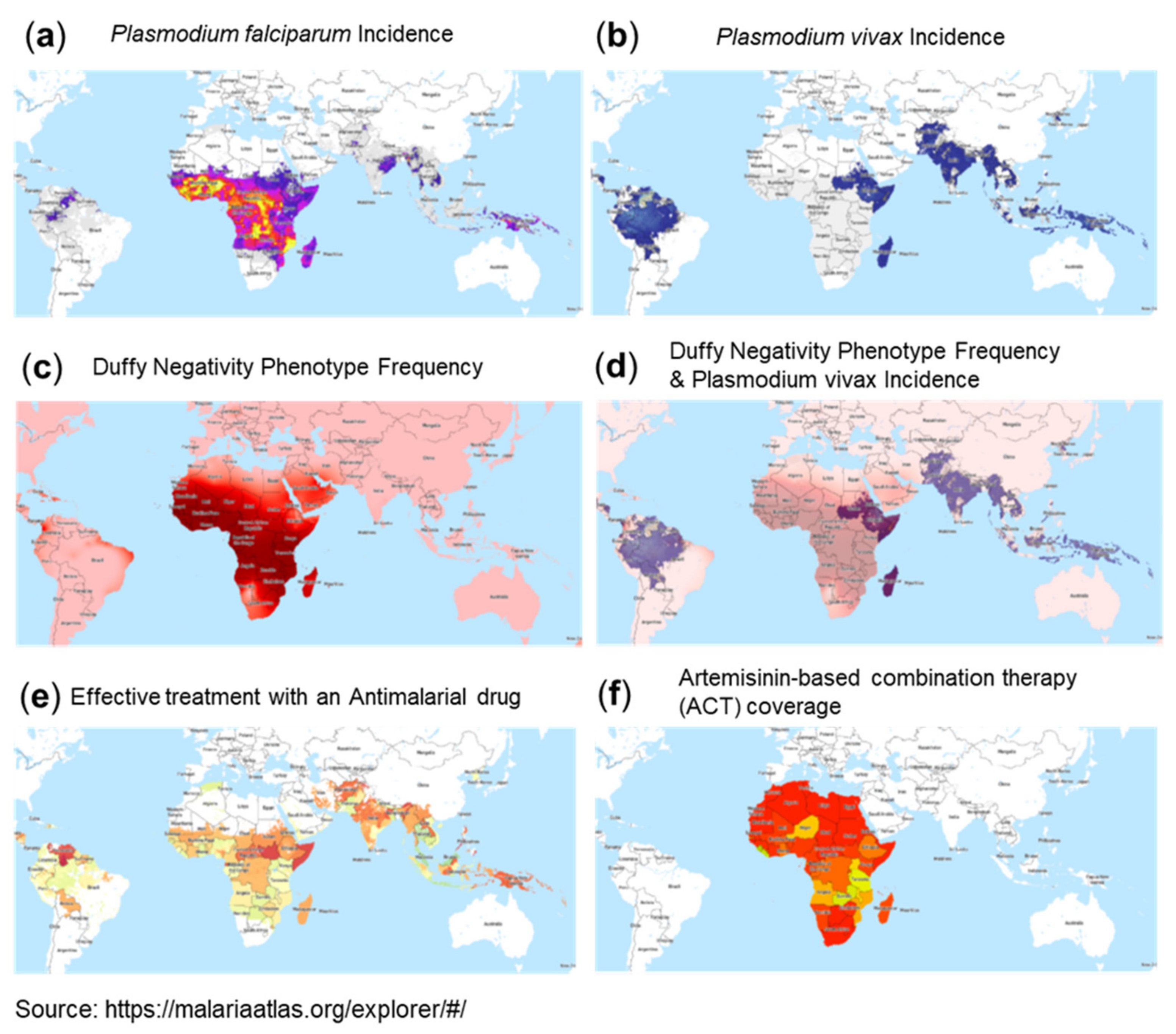 Viruses 13 01887 g004