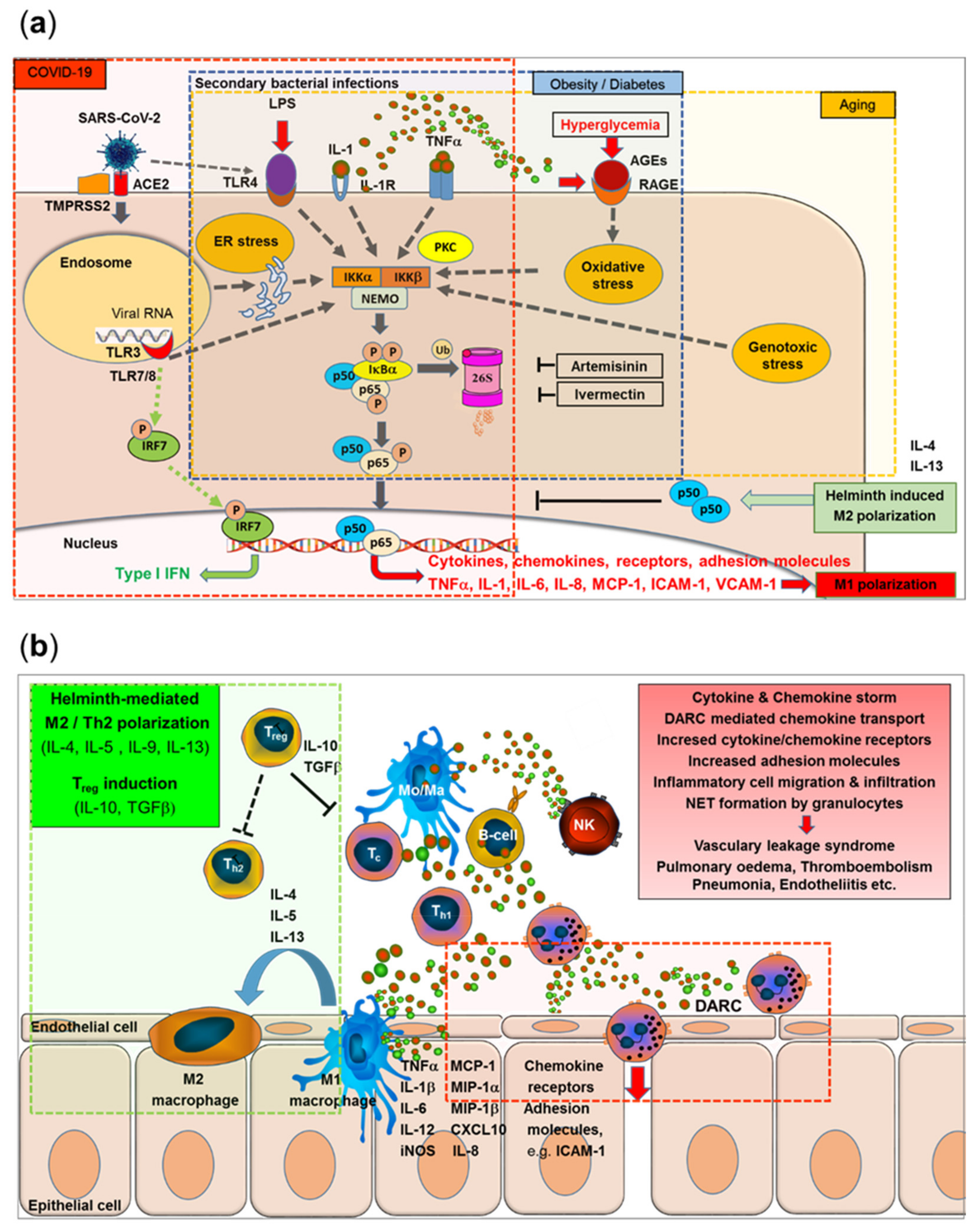 Viruses 13 01887 g005