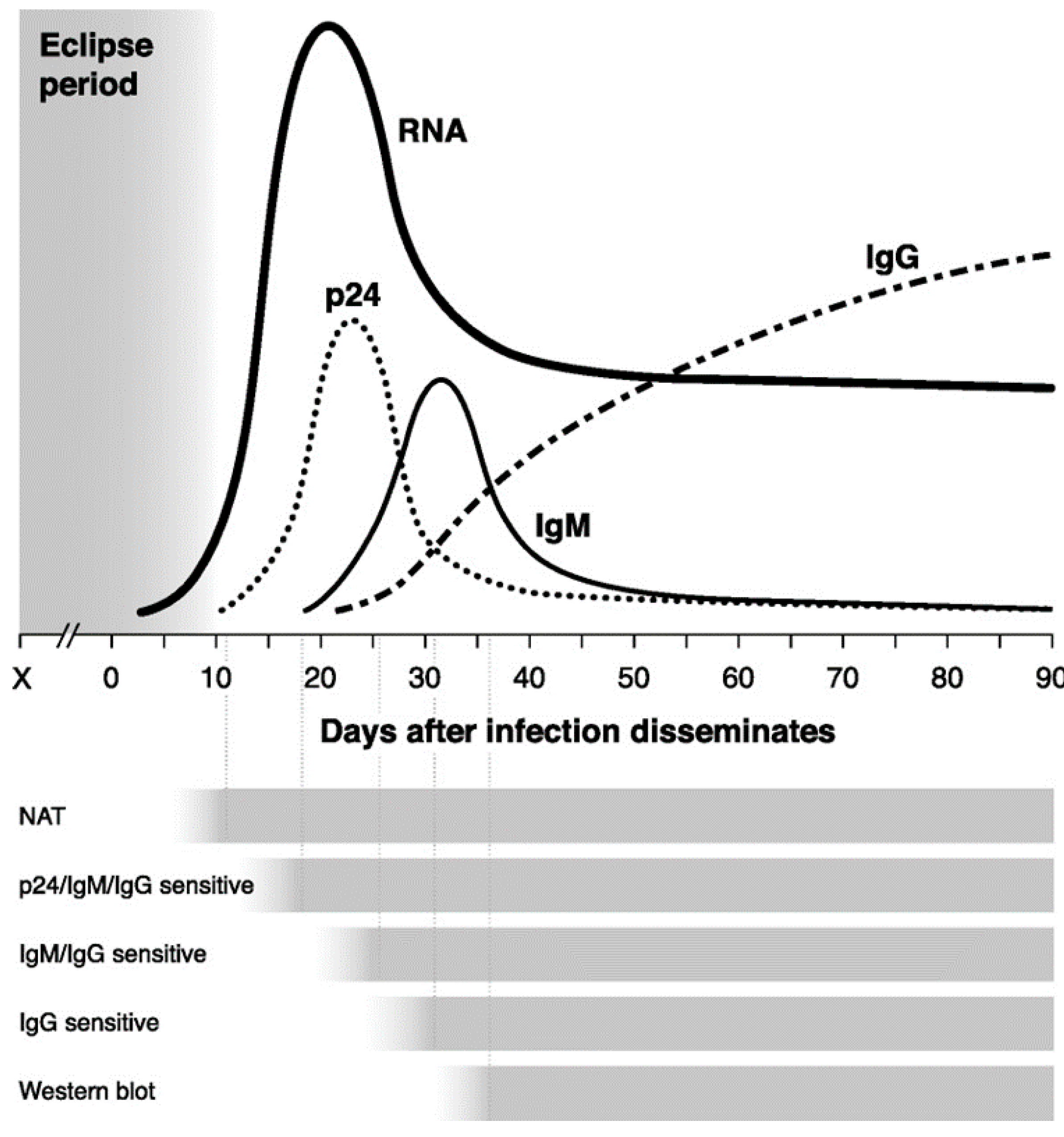 Viruses 13 01890 g001