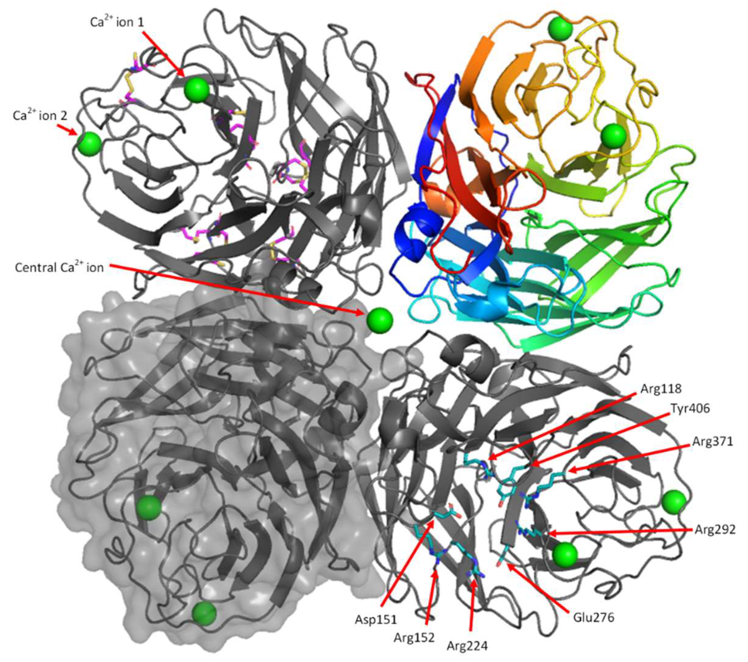 Viruses 13 01893 g007 Viruses 13 01893 g007