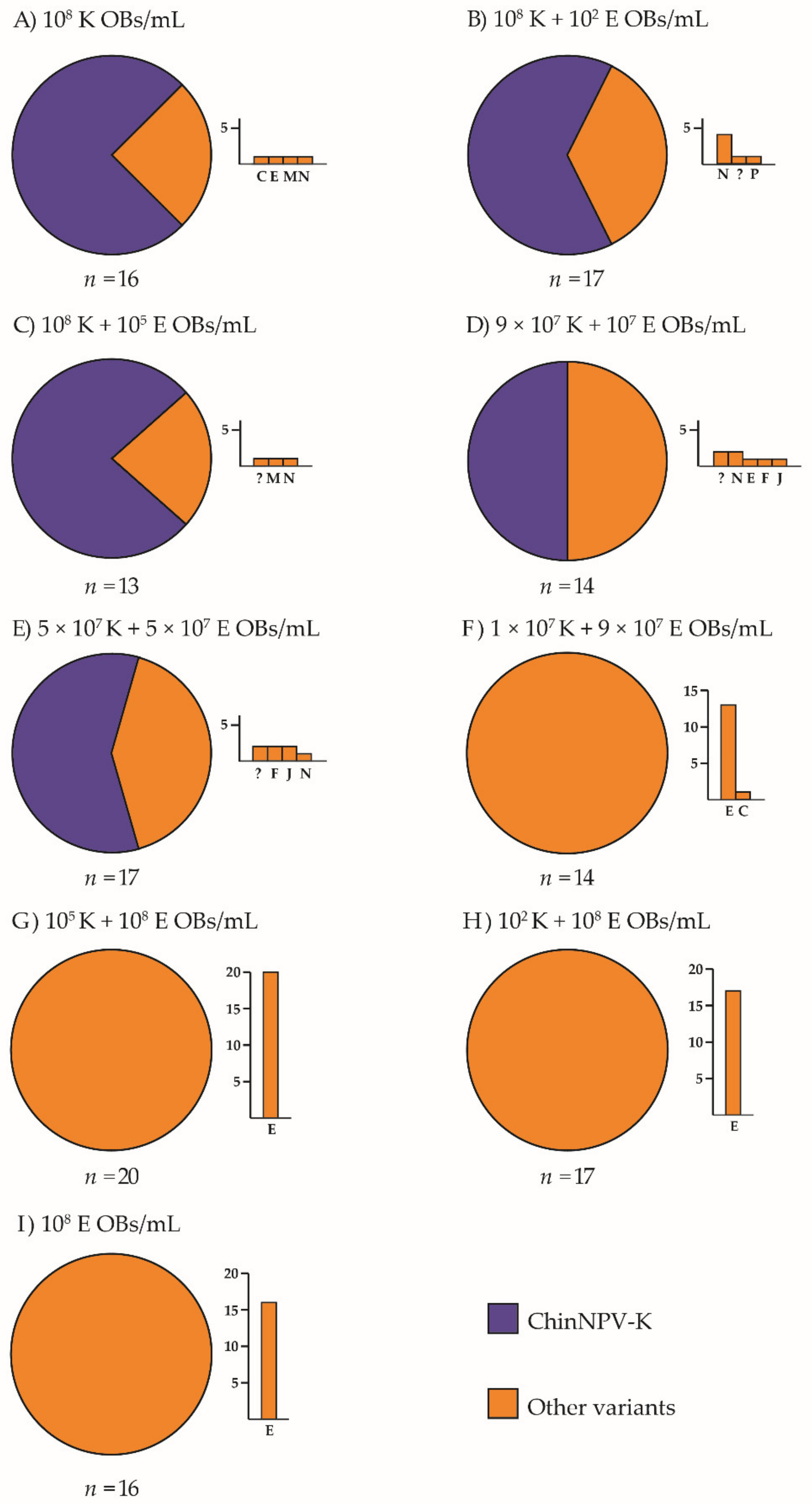Viruses 13 01895 g003