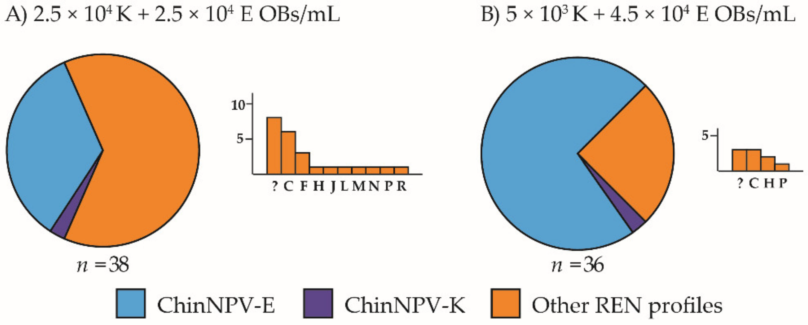 Viruses 13 01895 g004