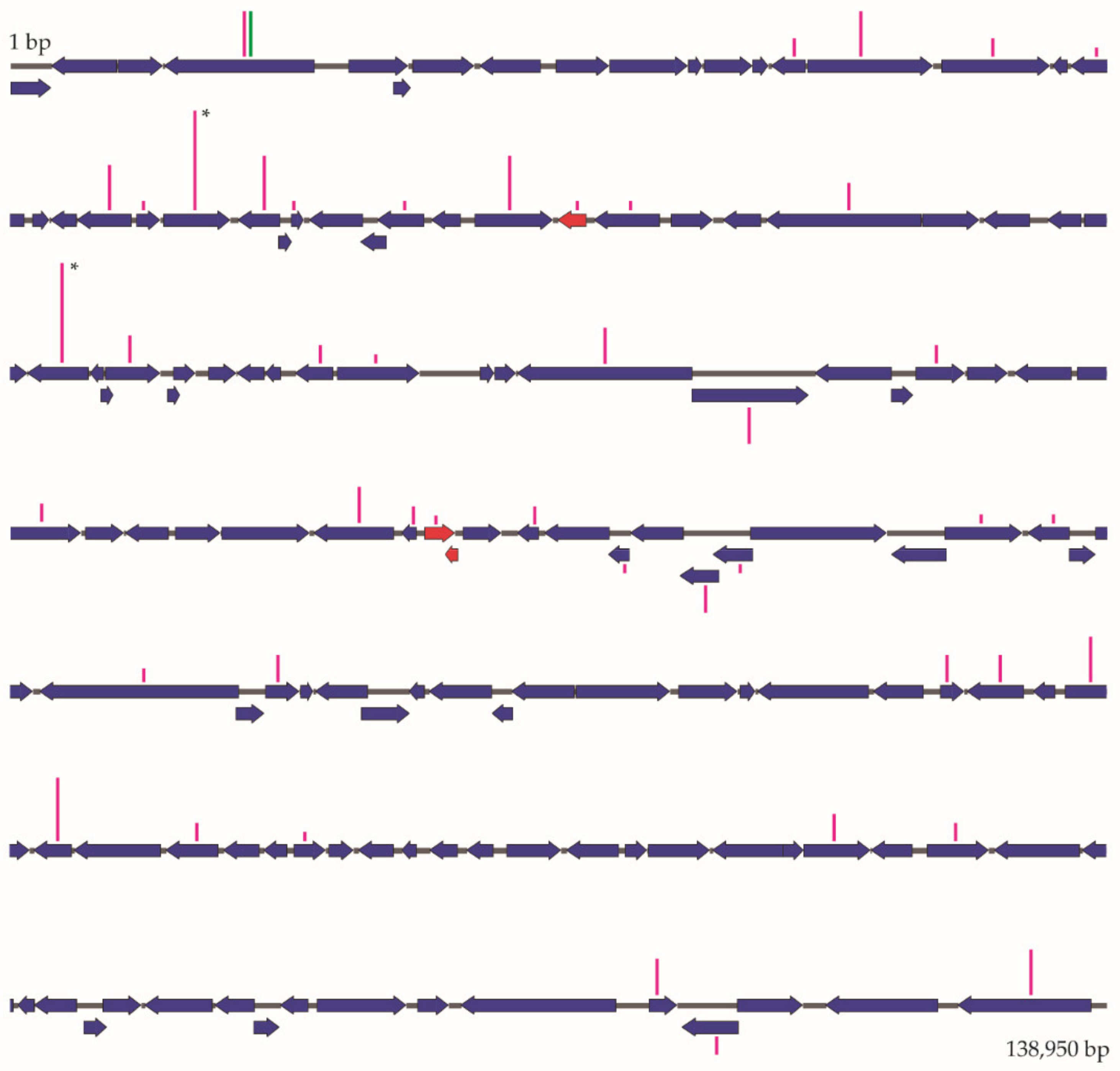 Viruses 13 01895 g008