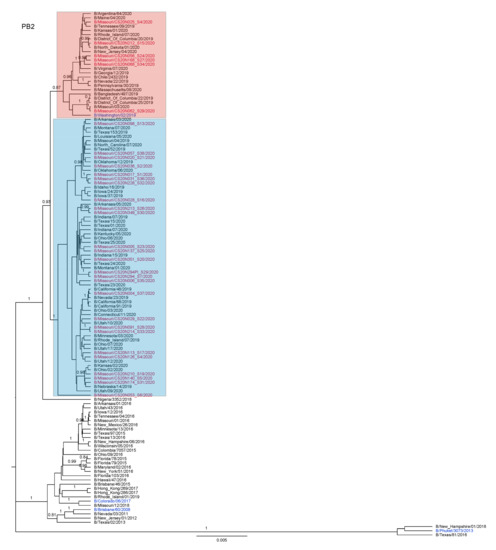 Viruses 13 01896 g0a1 550