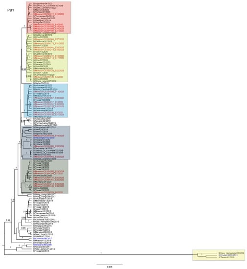 Viruses 13 01896 g0a2 550