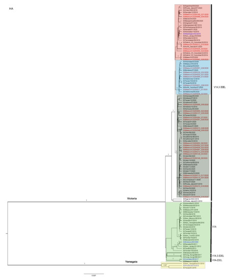Viruses 13 01896 g0a4 550