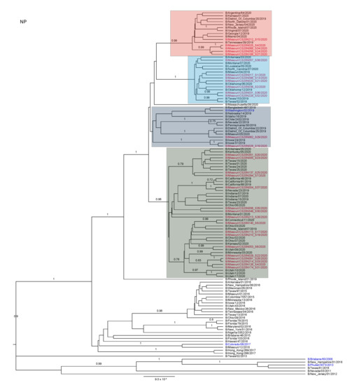 Viruses 13 01896 g0a5 550