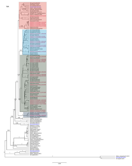 Viruses 13 01896 g0a6 550