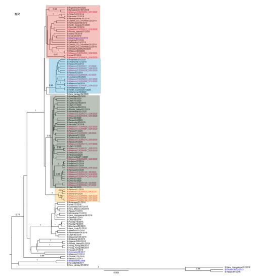 Viruses 13 01896 g0a7 550