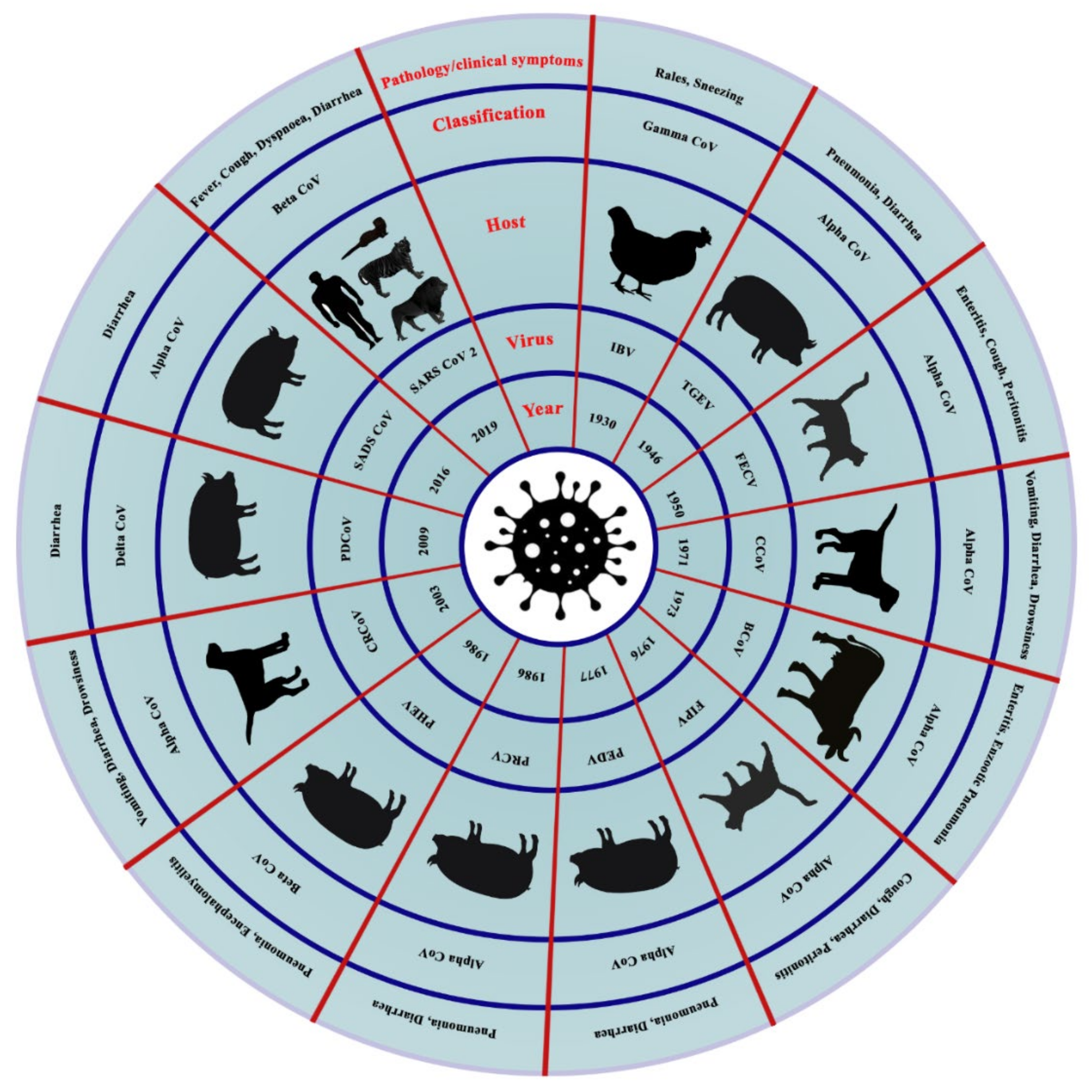 Viruses 13 01908 g001