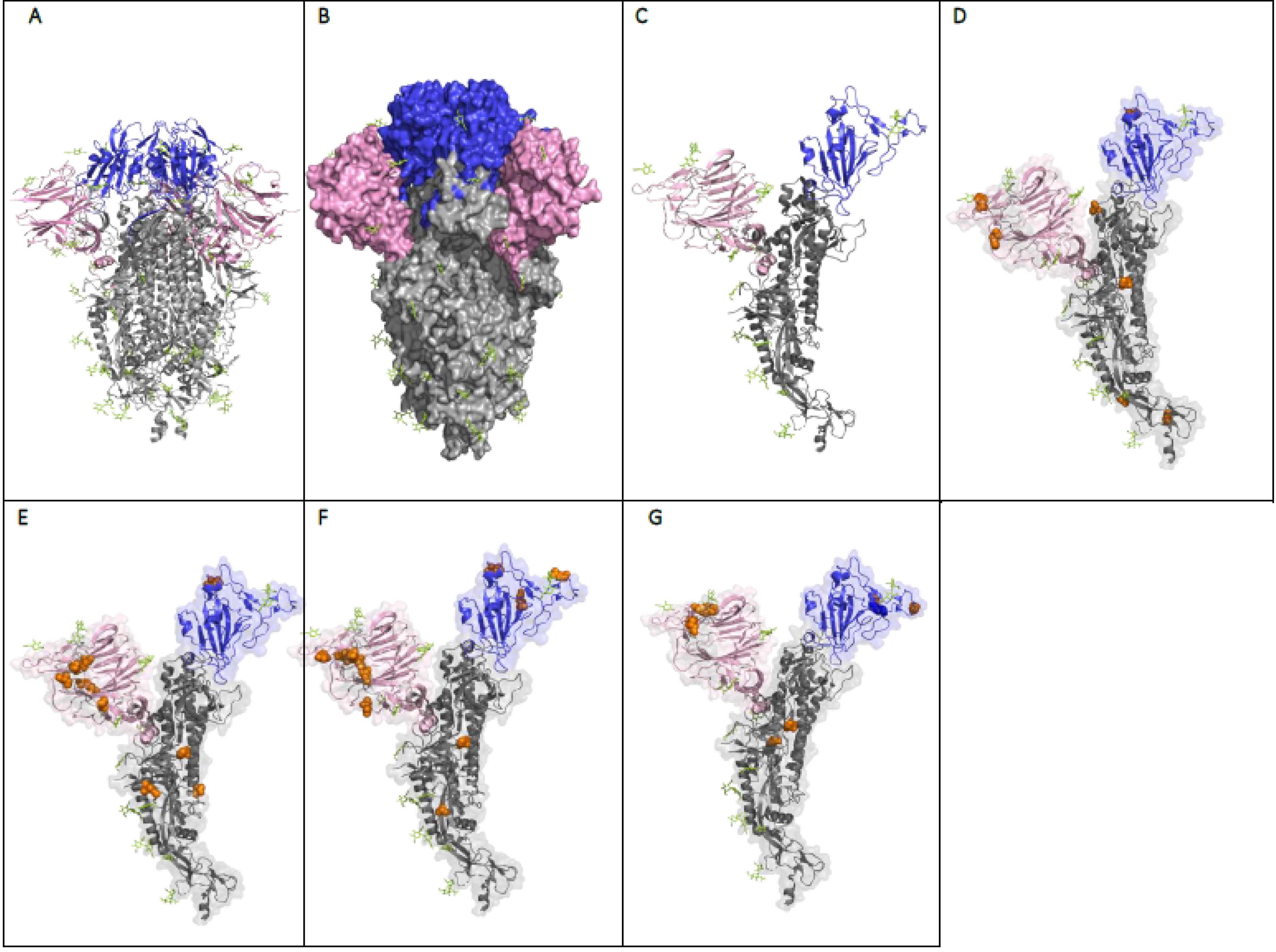 Viruses 13 01911 g004 Viruses 13 01911 g004