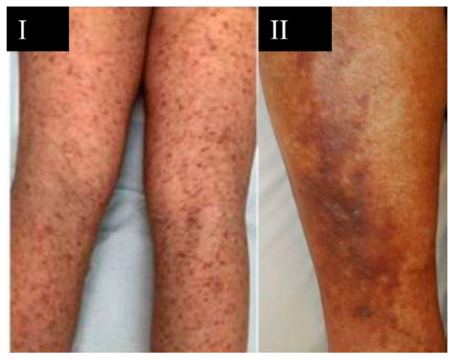 Viruses 13 01916 g003